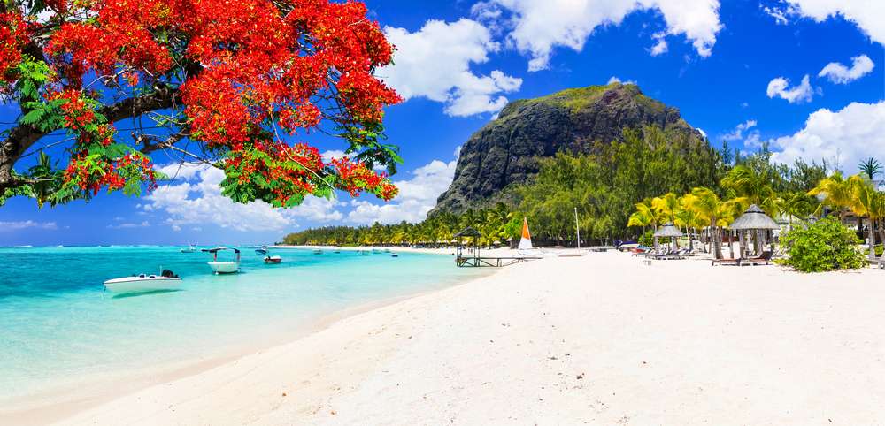 Why to Visit Mauritius in December