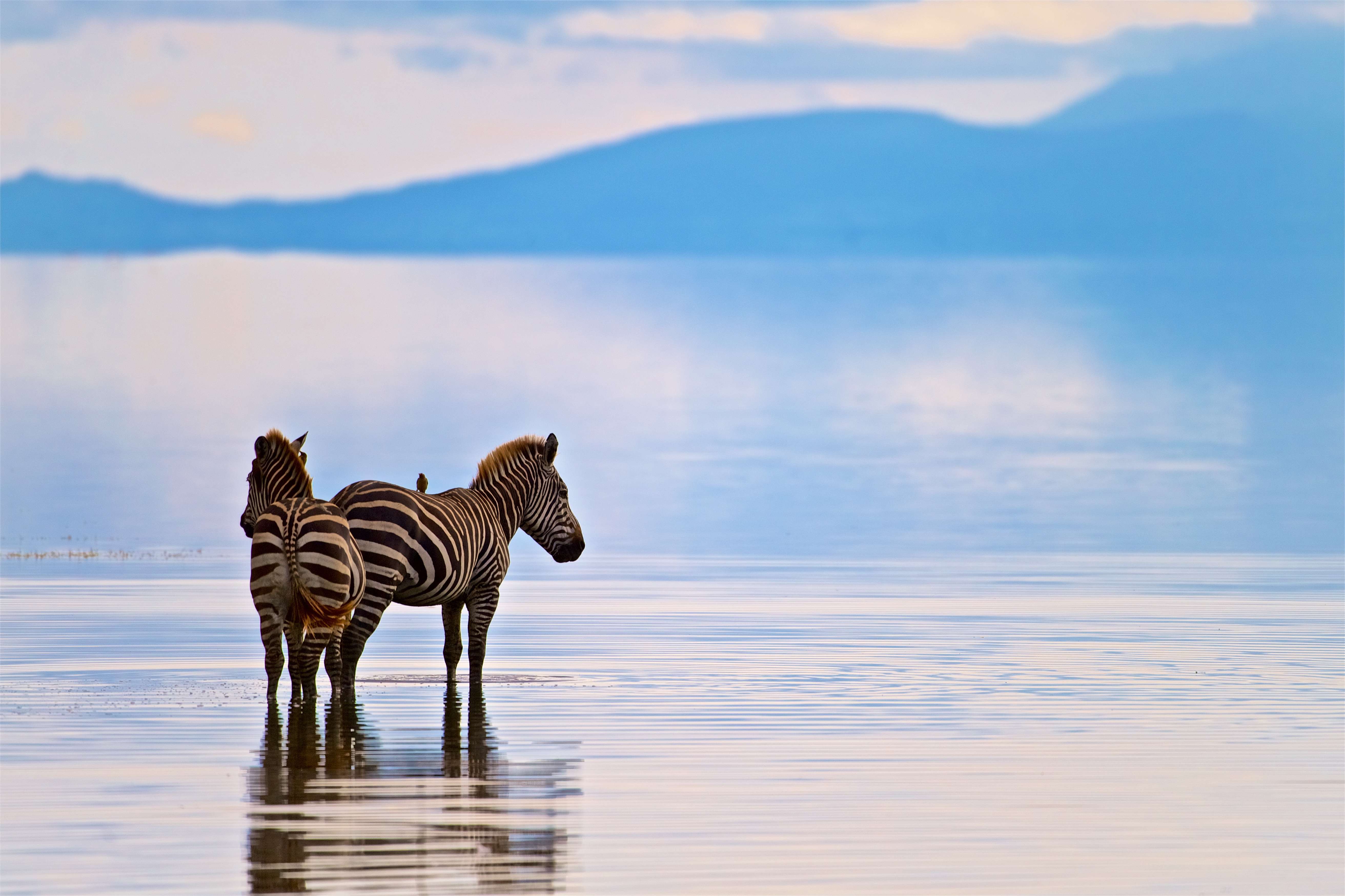 Lake Manyara
