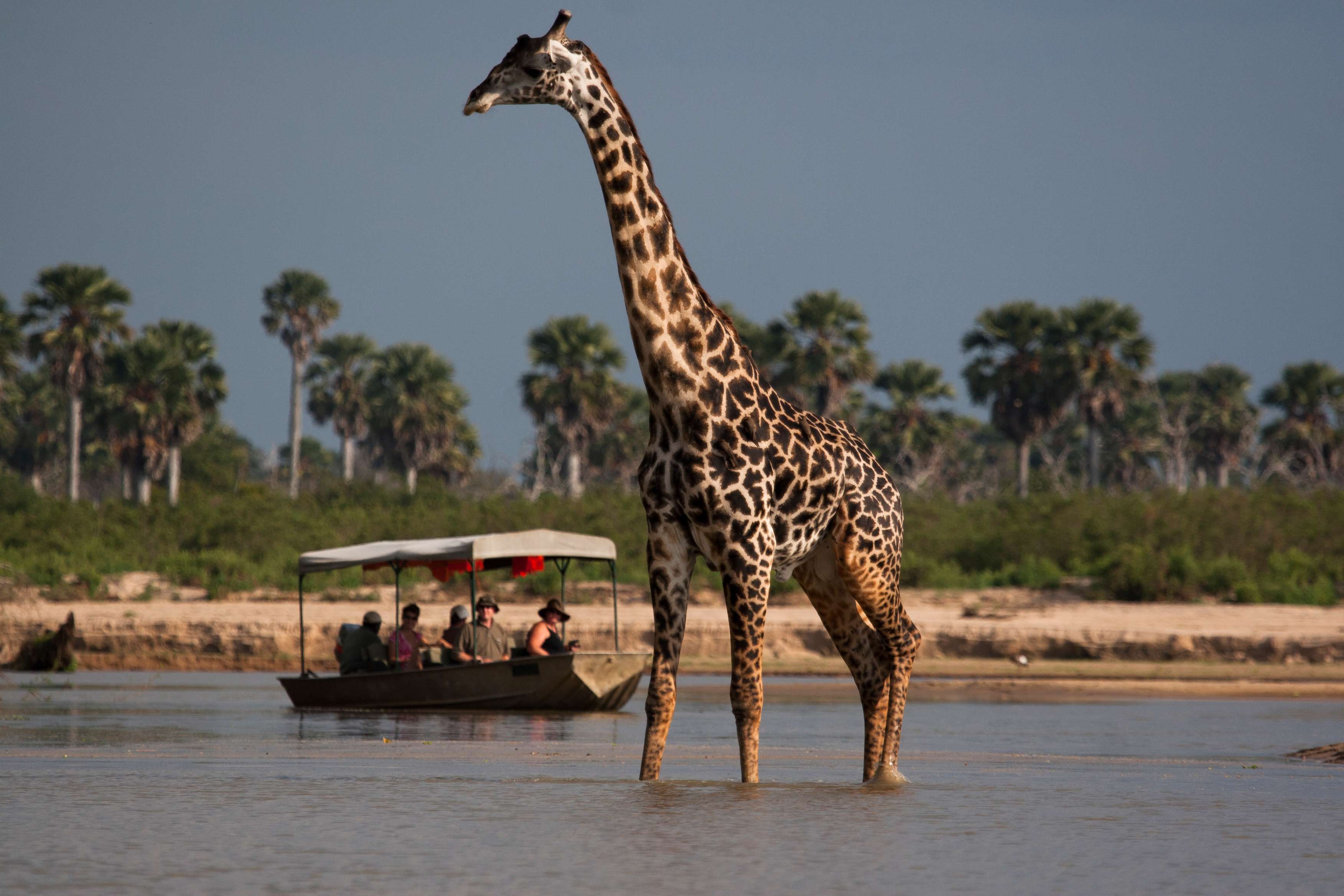 Selous Game Reserve