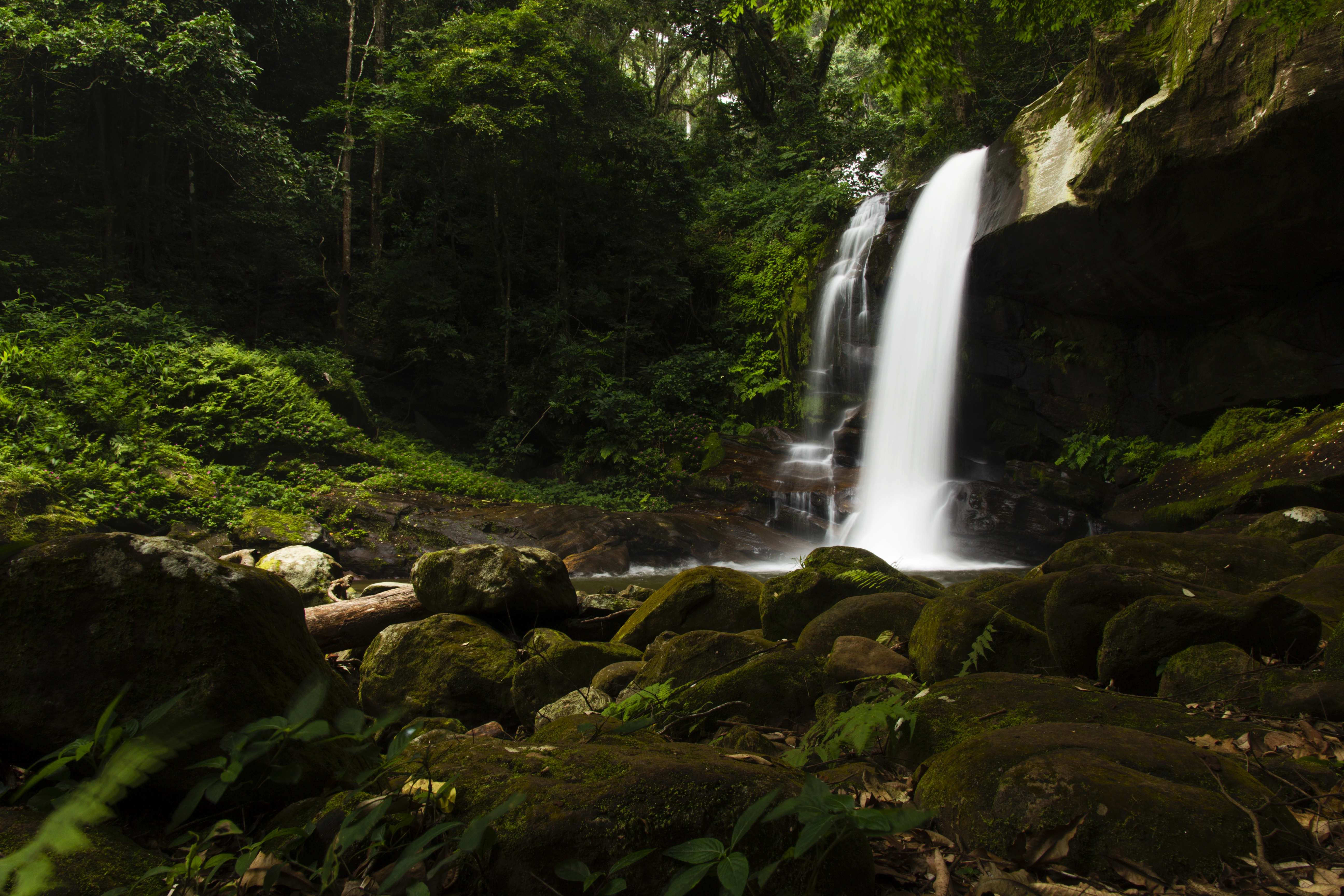 Udzungwa Mountains National Park