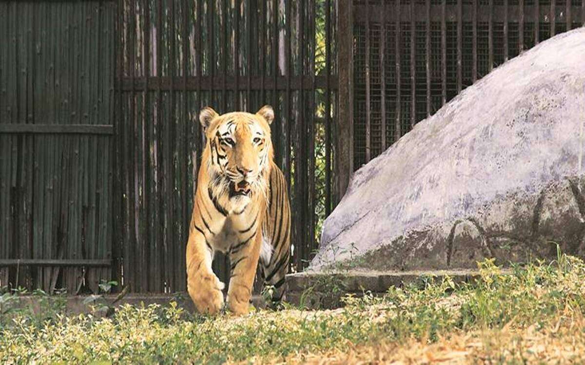 Mumbai Zoo