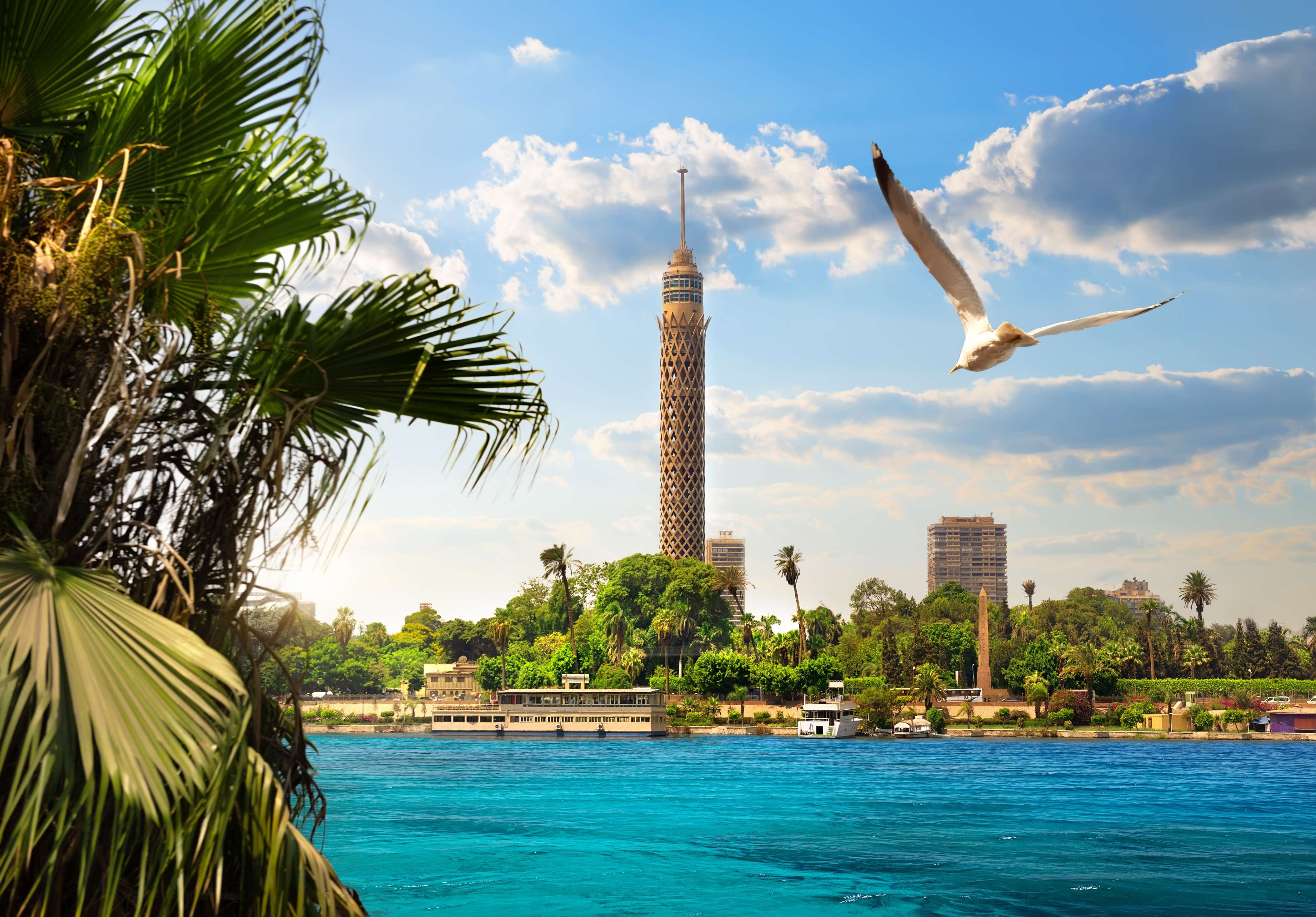 Get a birds-eye view from Cairo Tower
