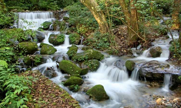 Bird Watching at ShivaPuri National Park