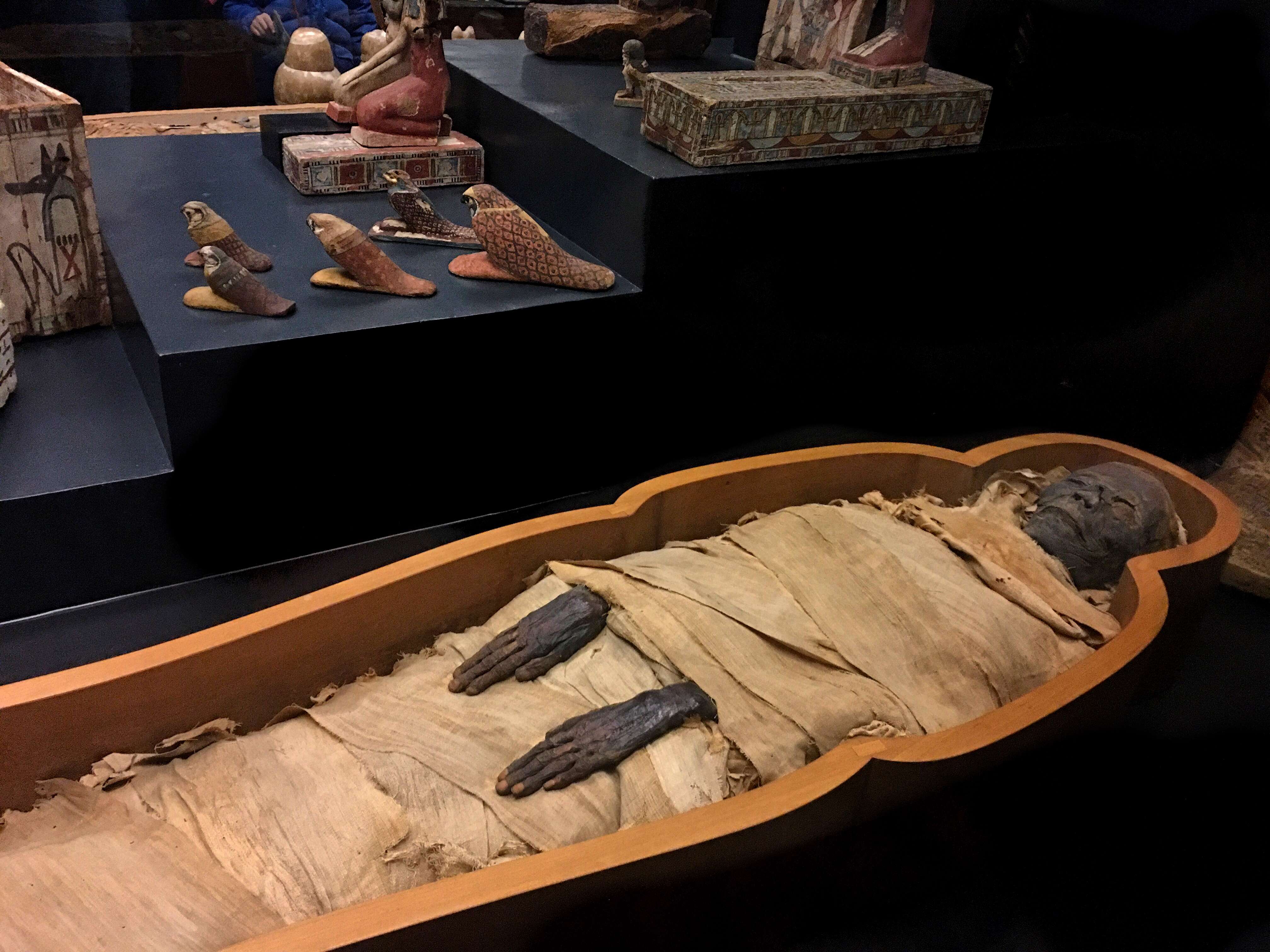 Explore Mummies at Mummification Museum