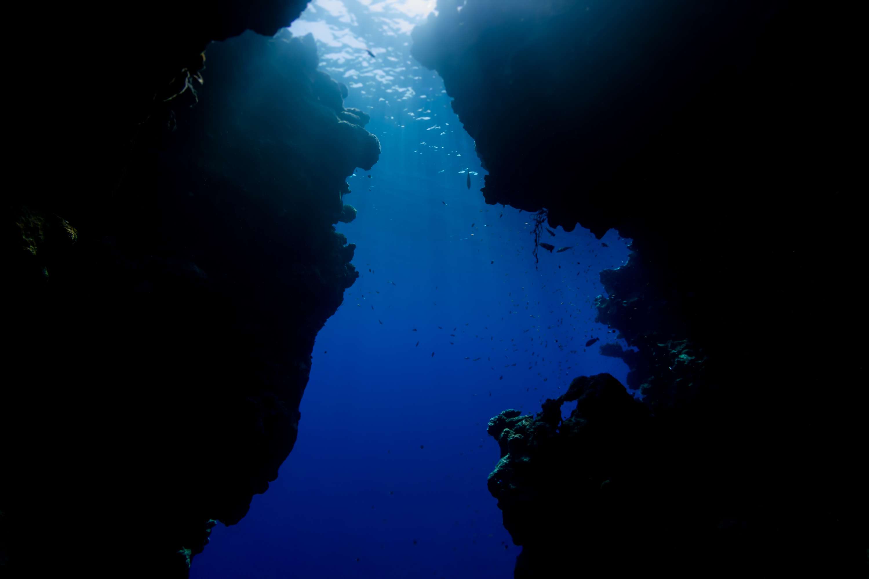 Discover the Beauty of Underwater in the Blue Hole of Dahab