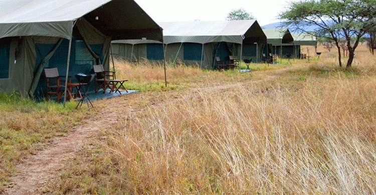 Serengeti Halisi Camp