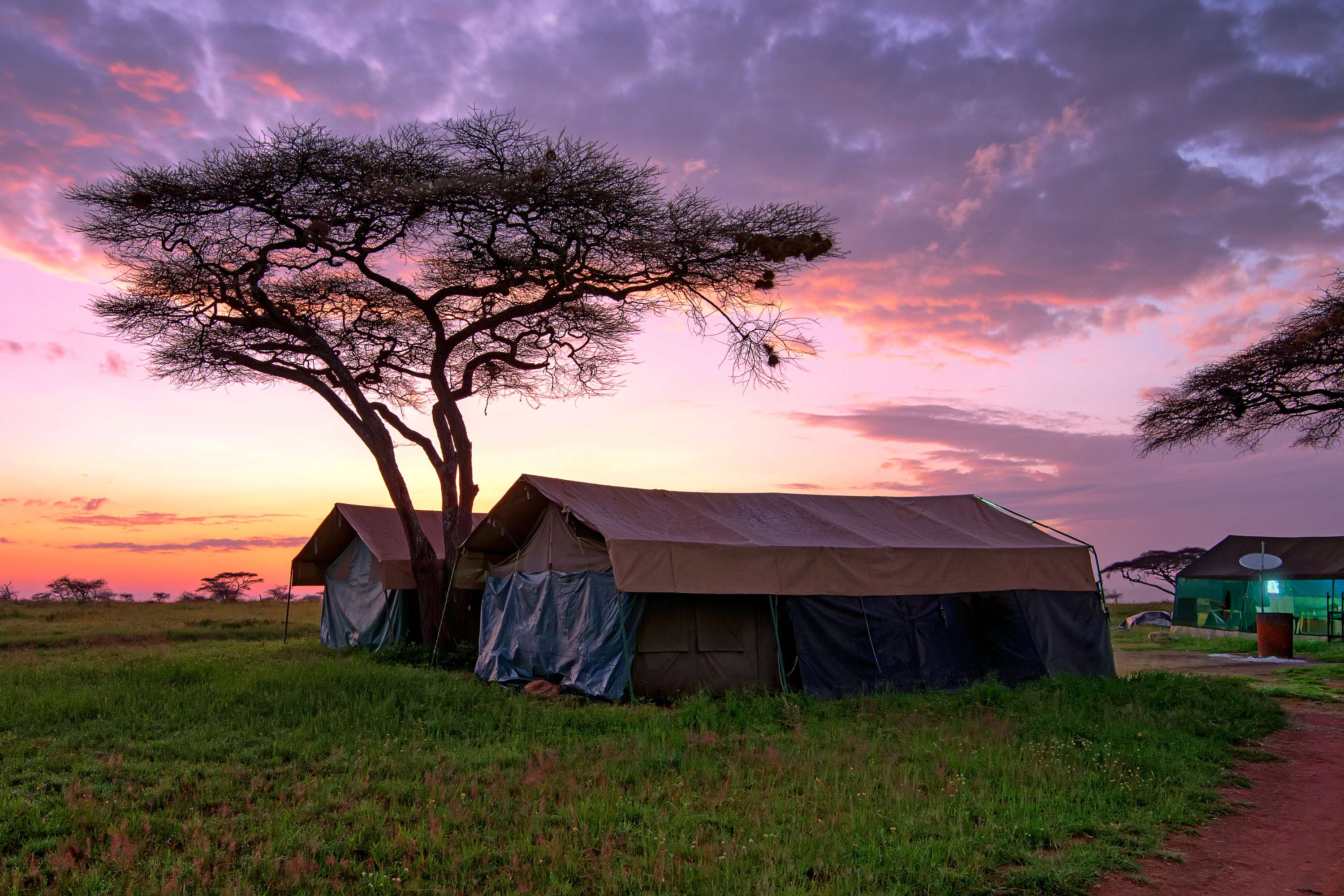 15 Serengeti National Park Camps {{year}}: Upto 40% Off