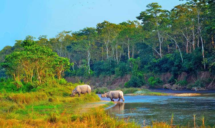 Chitwan National Park