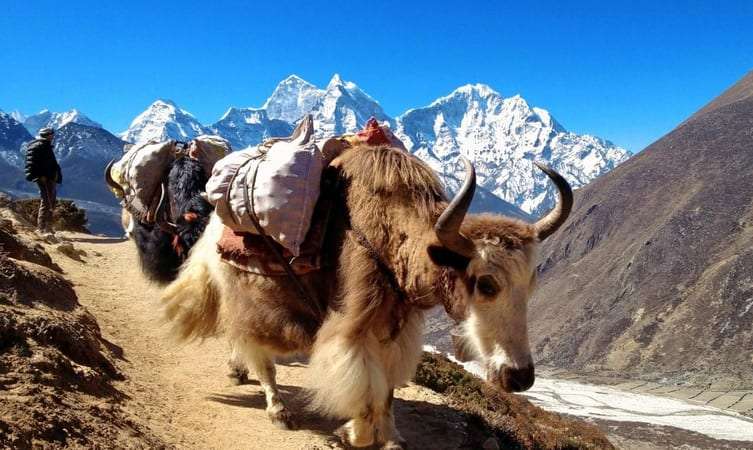 Sagarmatha National Park