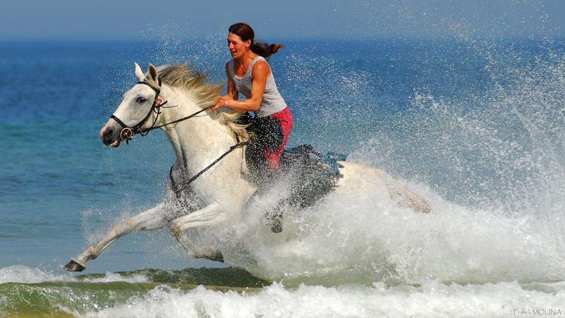 Galloping Along the Atlantic Coast in France