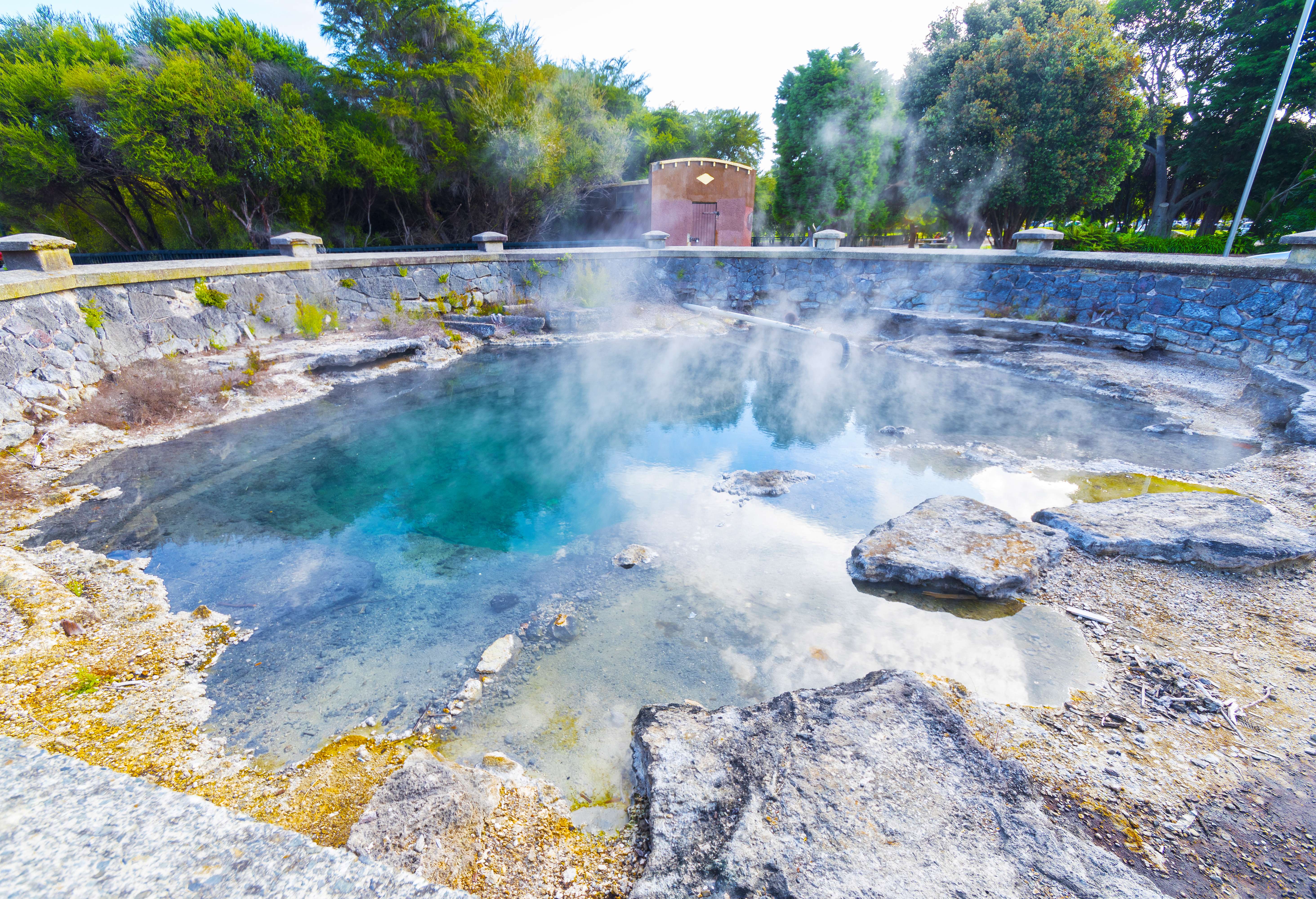 Rachel Spring Whangapipiro