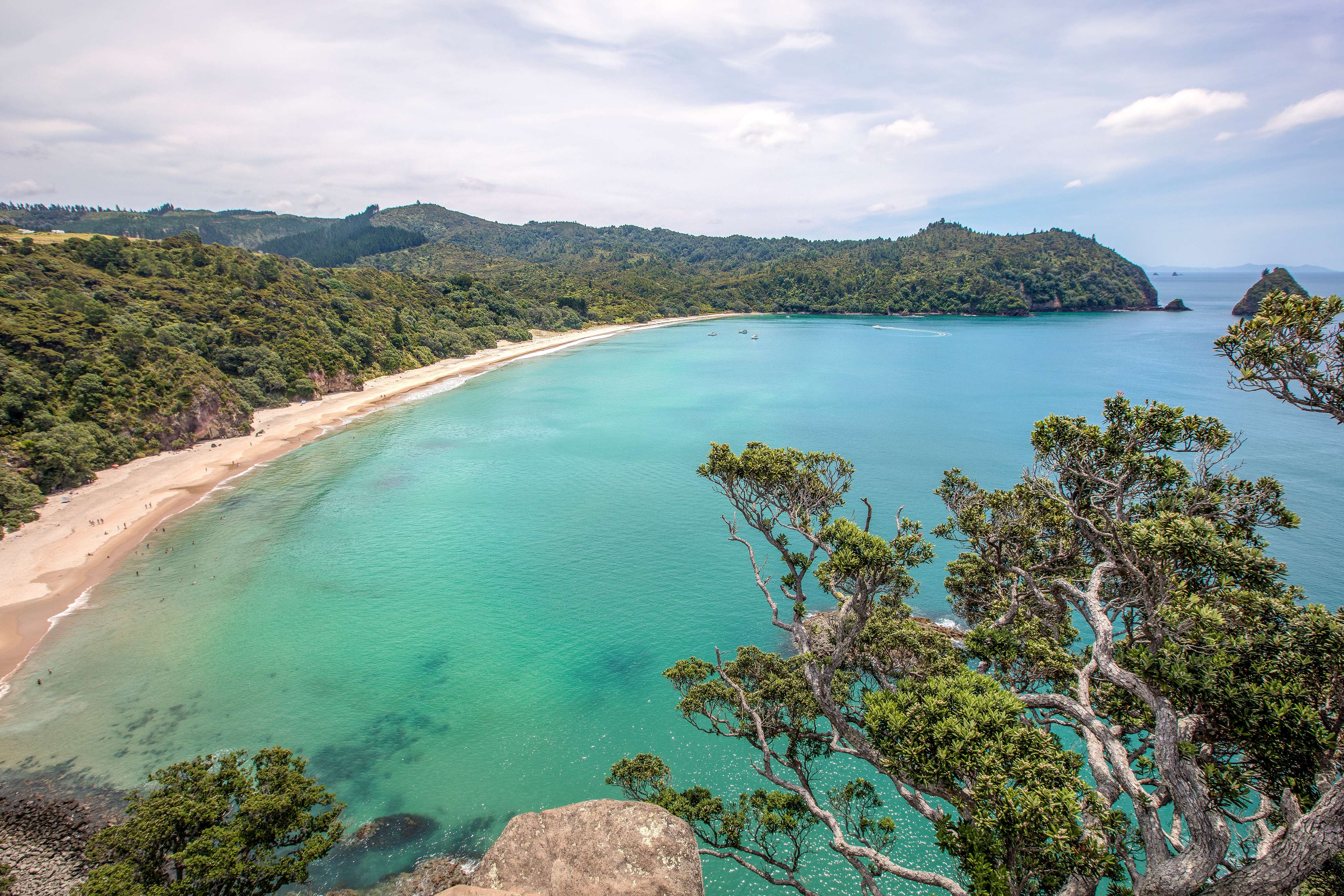 30 Beaches in New Zealand For A Sun-Kissed Getaway {{year}}