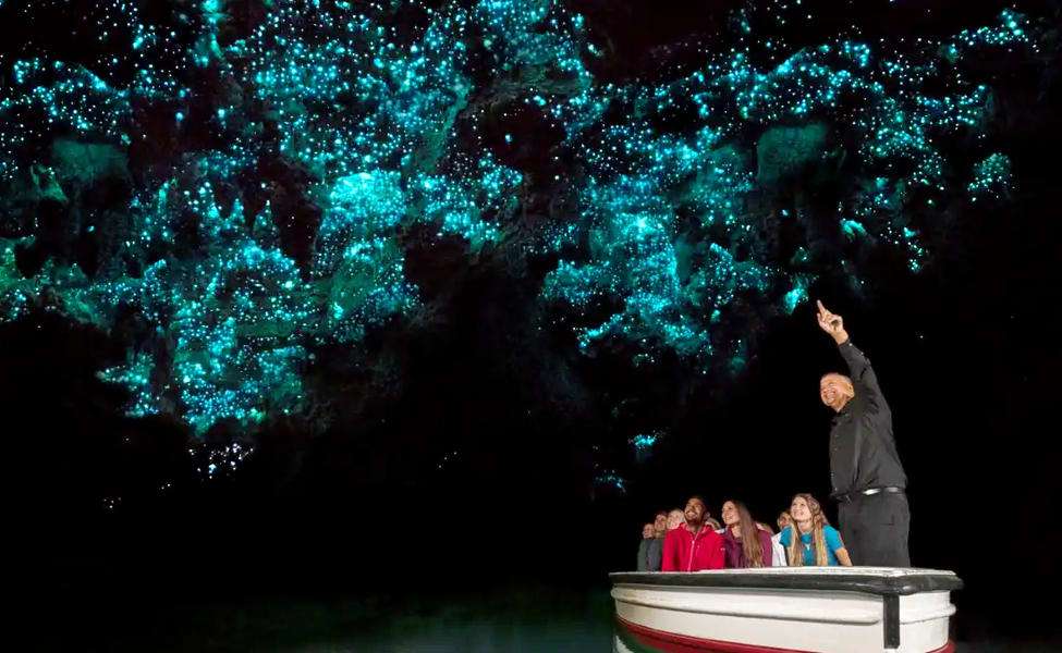 Explore Waitomo Caves
