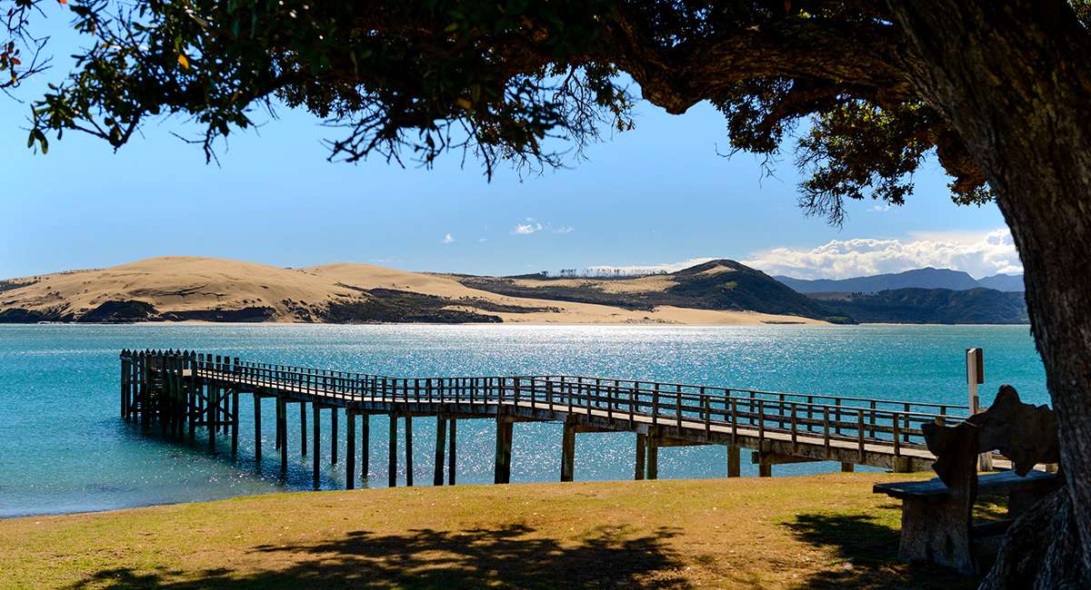 Explore the Hokianga Harbour