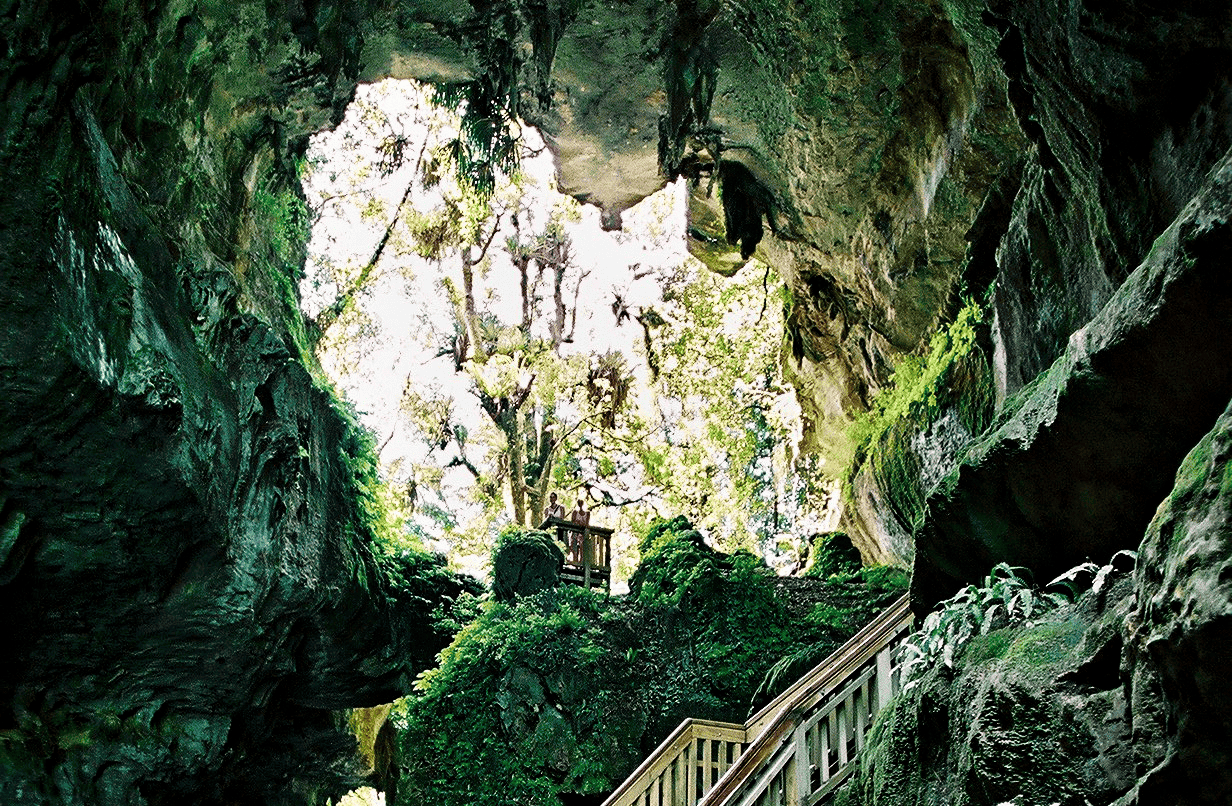 Walk Under a Natural Bridge