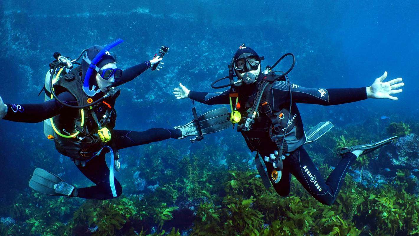 Go Scuba Diving or Snorkeling