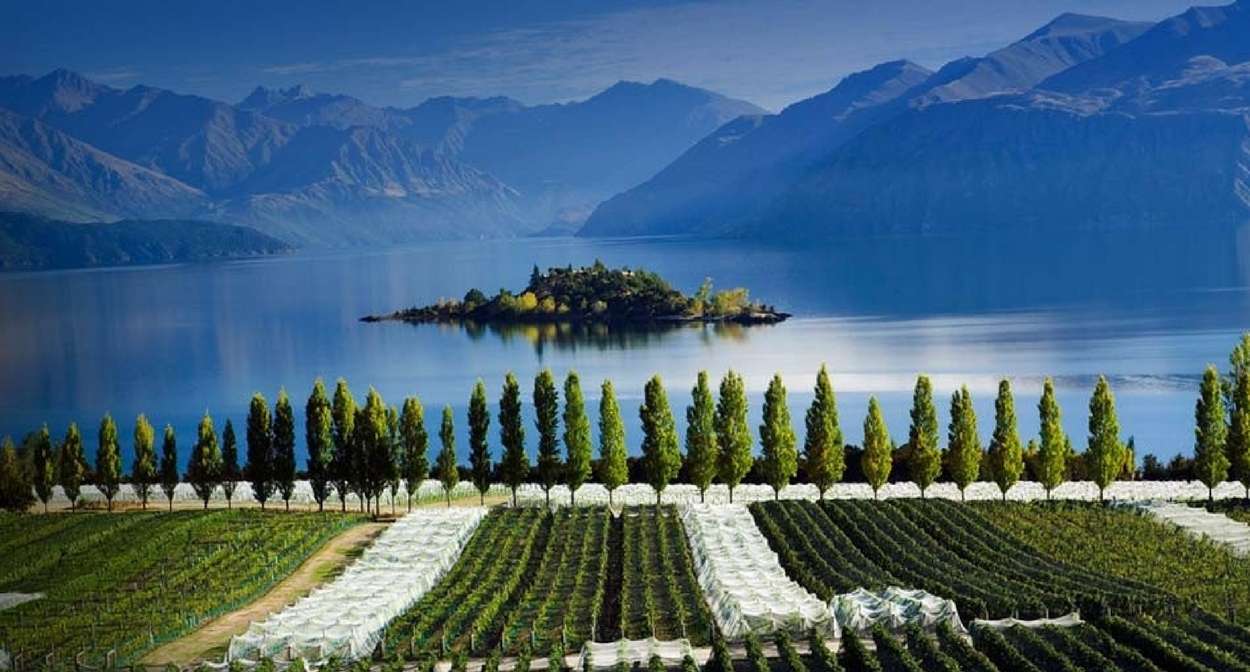 Stroll at Wineries in Central Otago