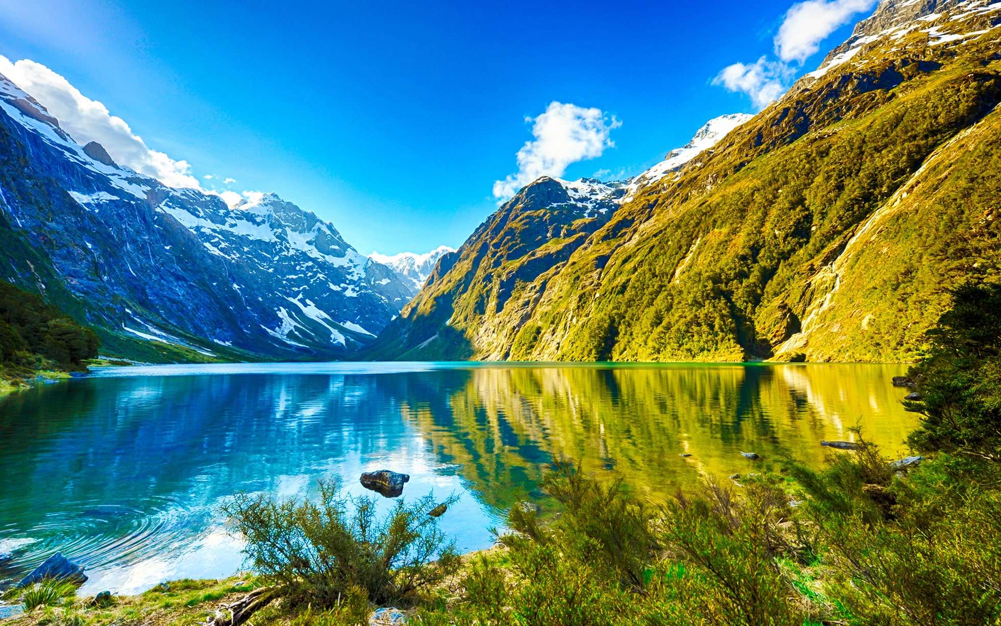 Explore Fiordland National Park