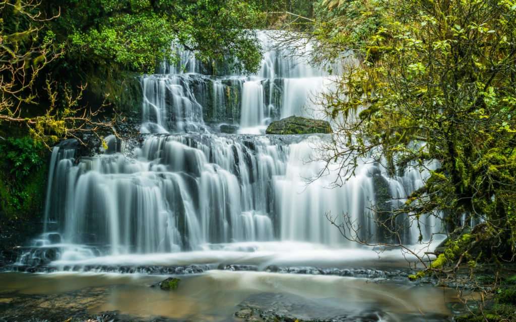 Witness the Beauty of Purakaunui Falls