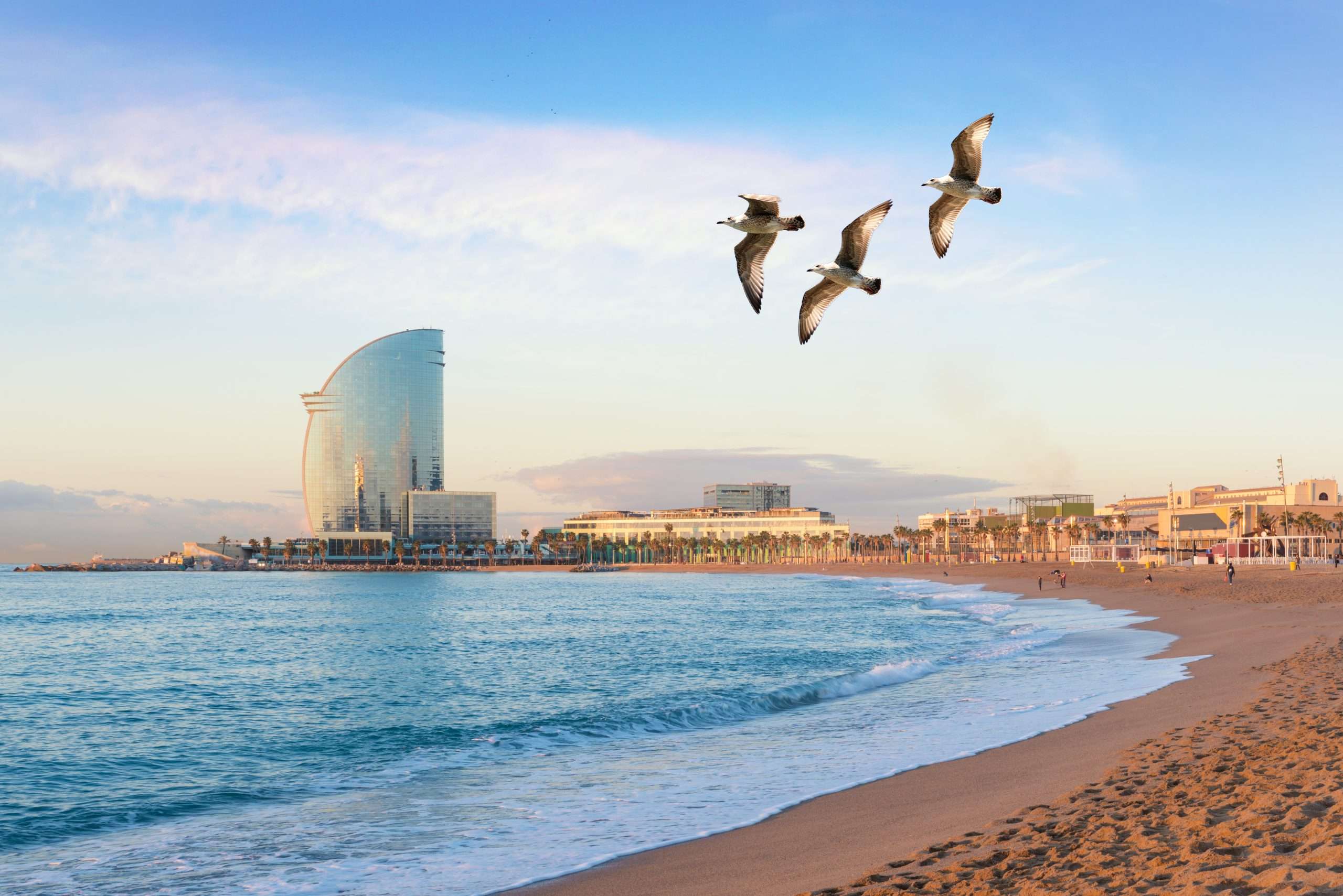 Barceloneta Beach