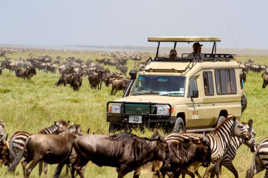 Jeep Safari at Nairobi National Park