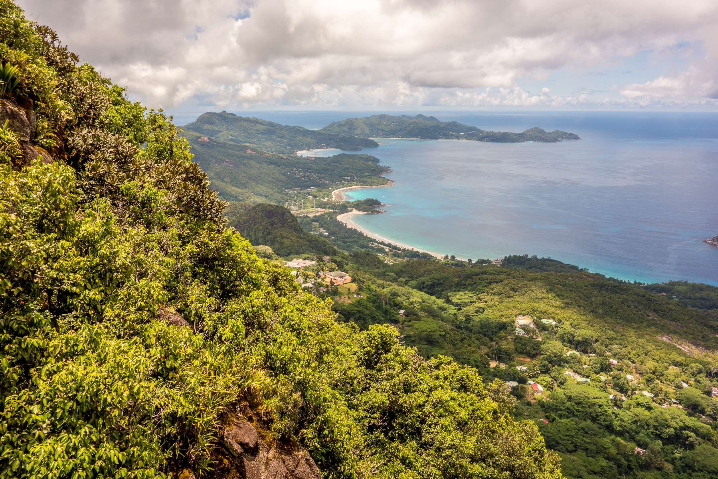 Explore Rich Diversity Of Flora And Fauna at Morne National Park