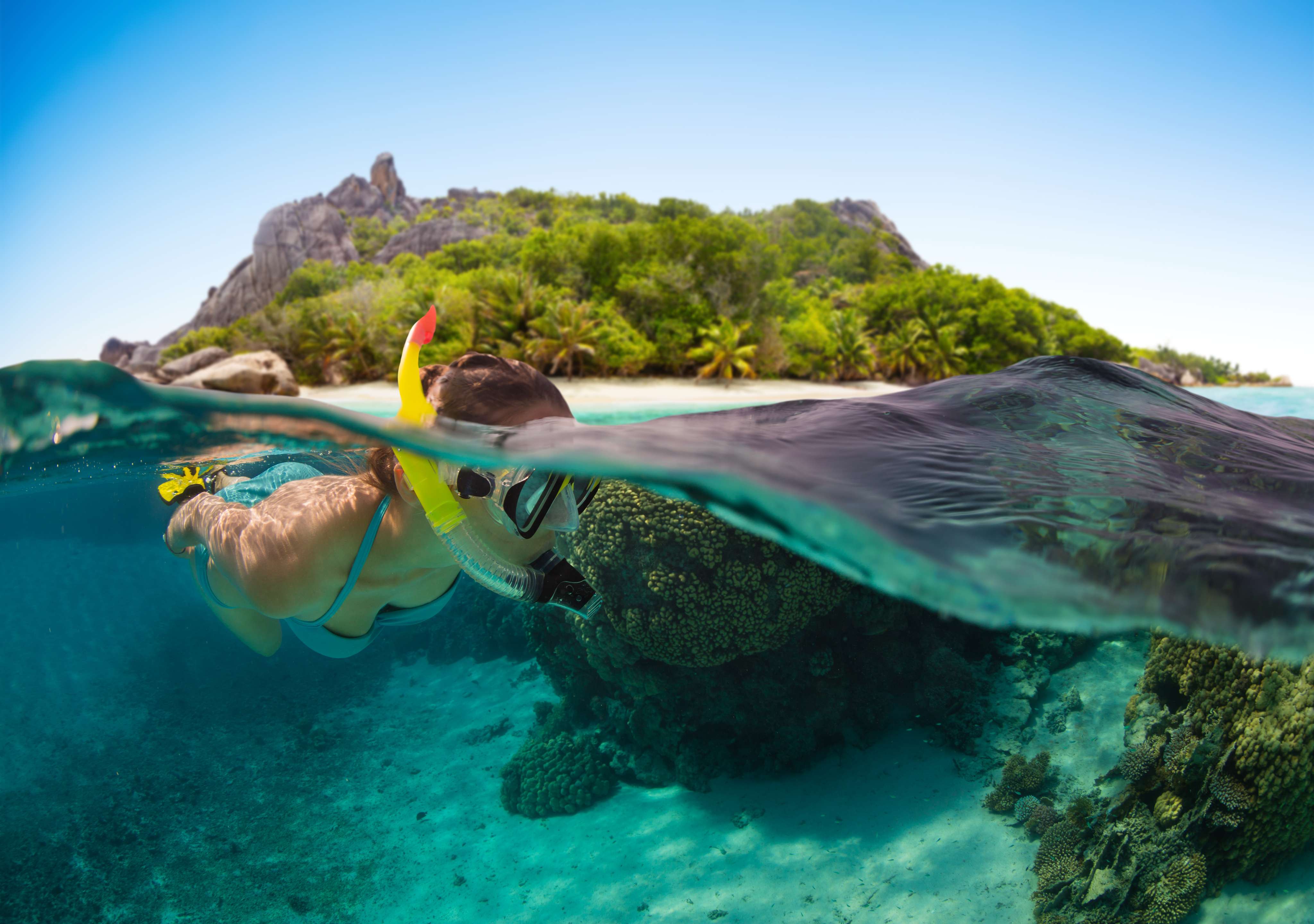 Snorkeling at Bird Island