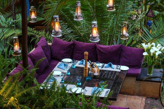 Enjoy Lunch at Karura Forest