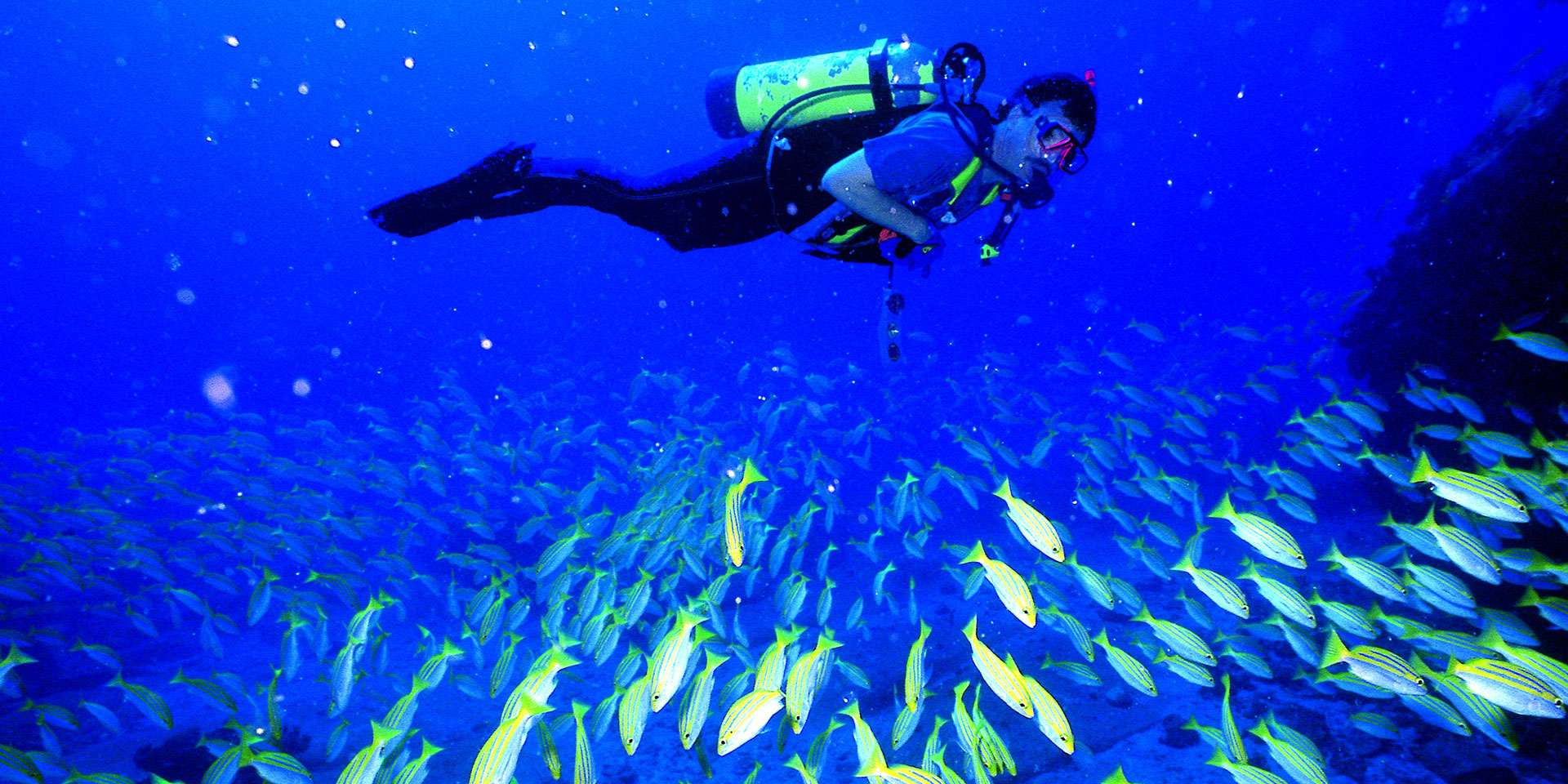 Go Scuba Diving at Mombasa Marine Park