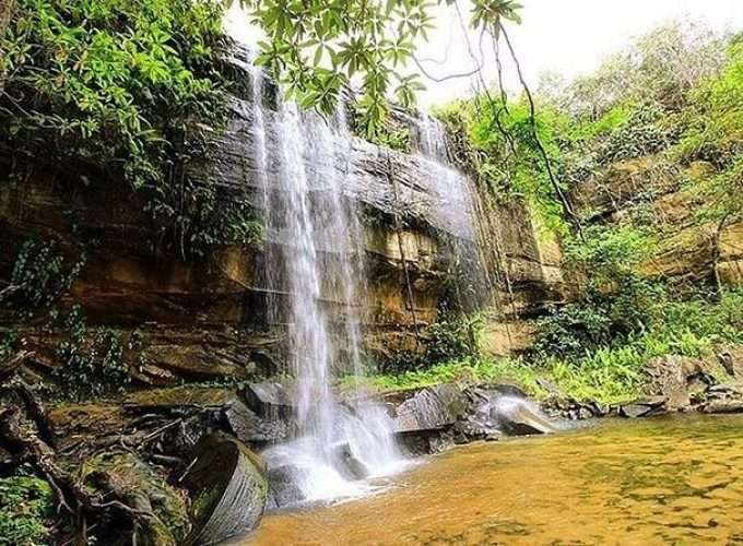 Visit Shimba Hills National Reserve