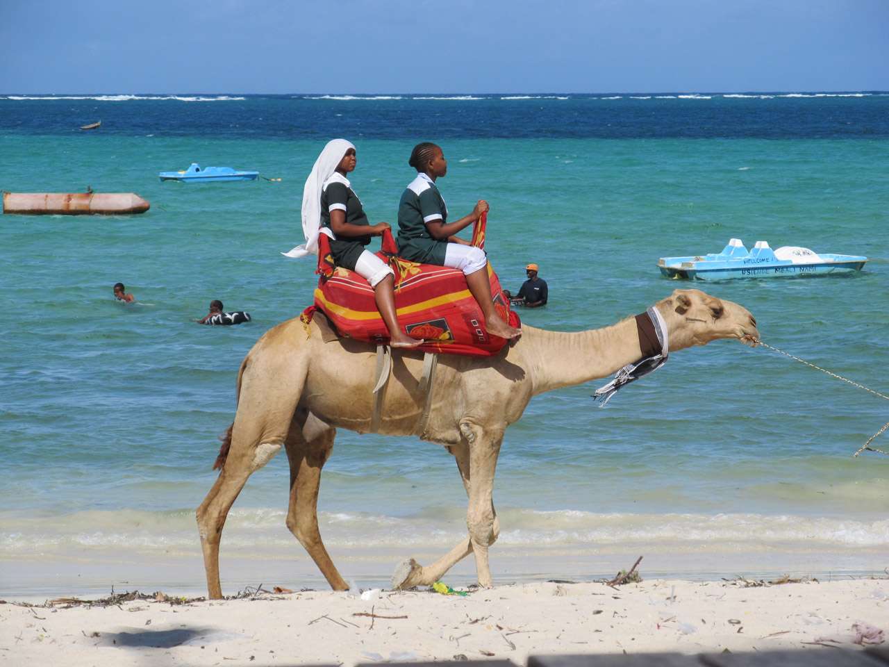 Camel rides at Pirates Beach