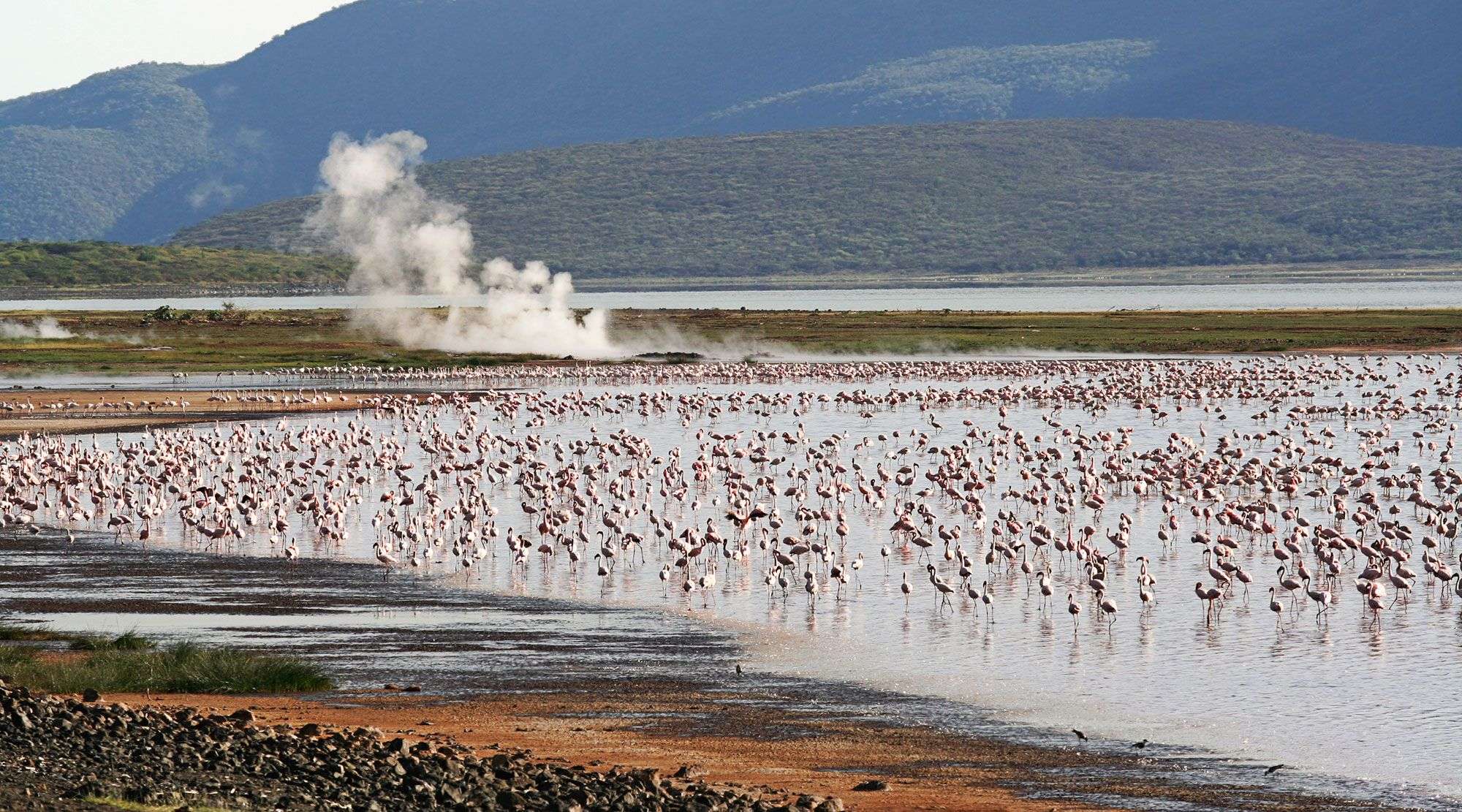 Explore Hot Springs in Lake Bogoria