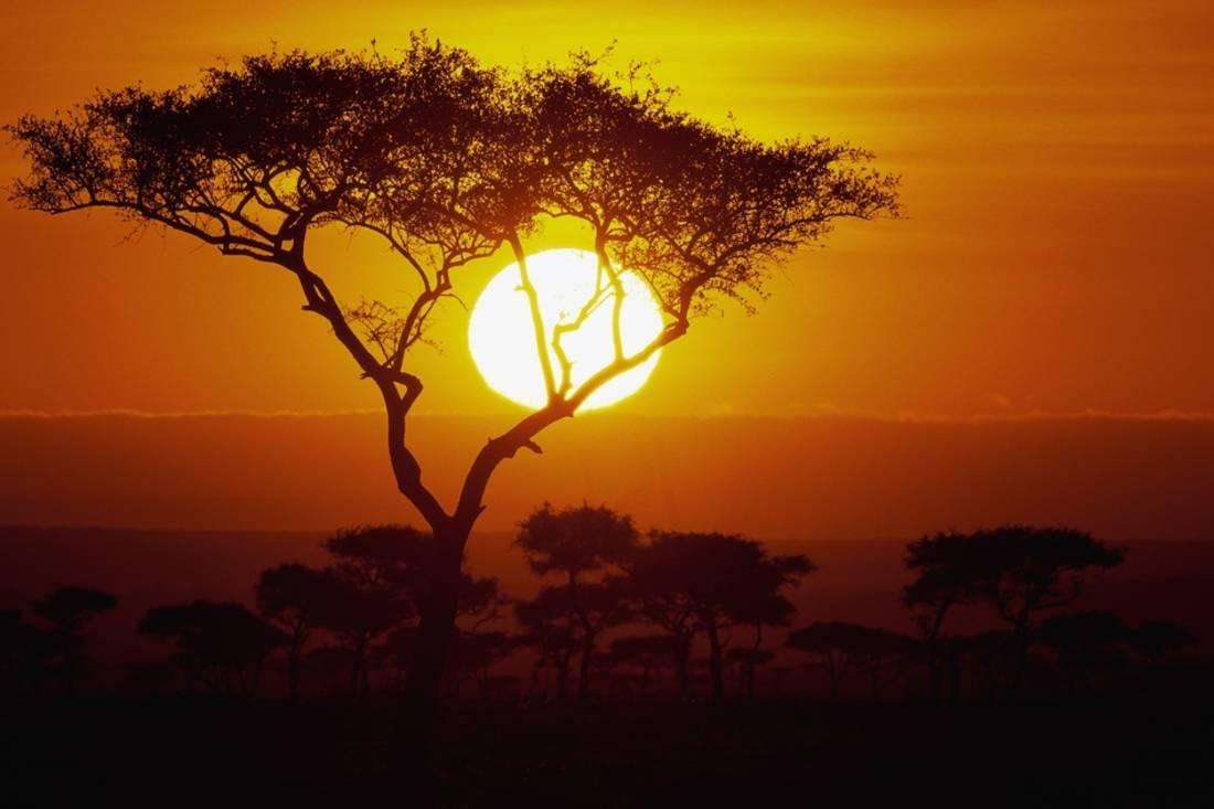 Celebrate Sunset with Maasai Warriors