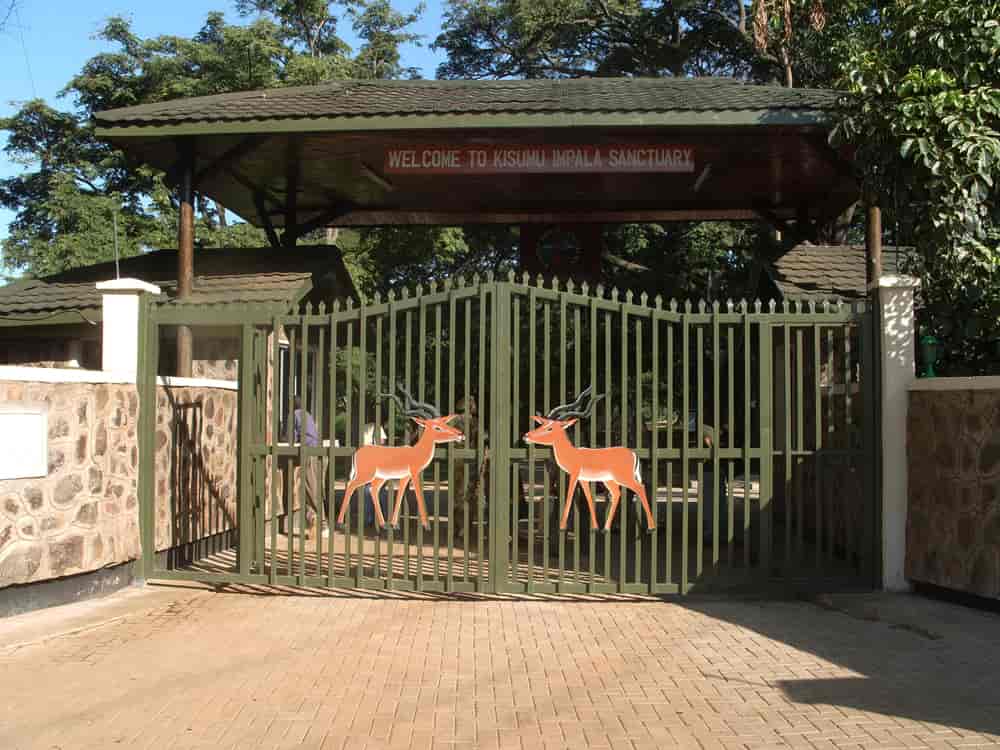 Explore Kisumu Impala Sanctuary