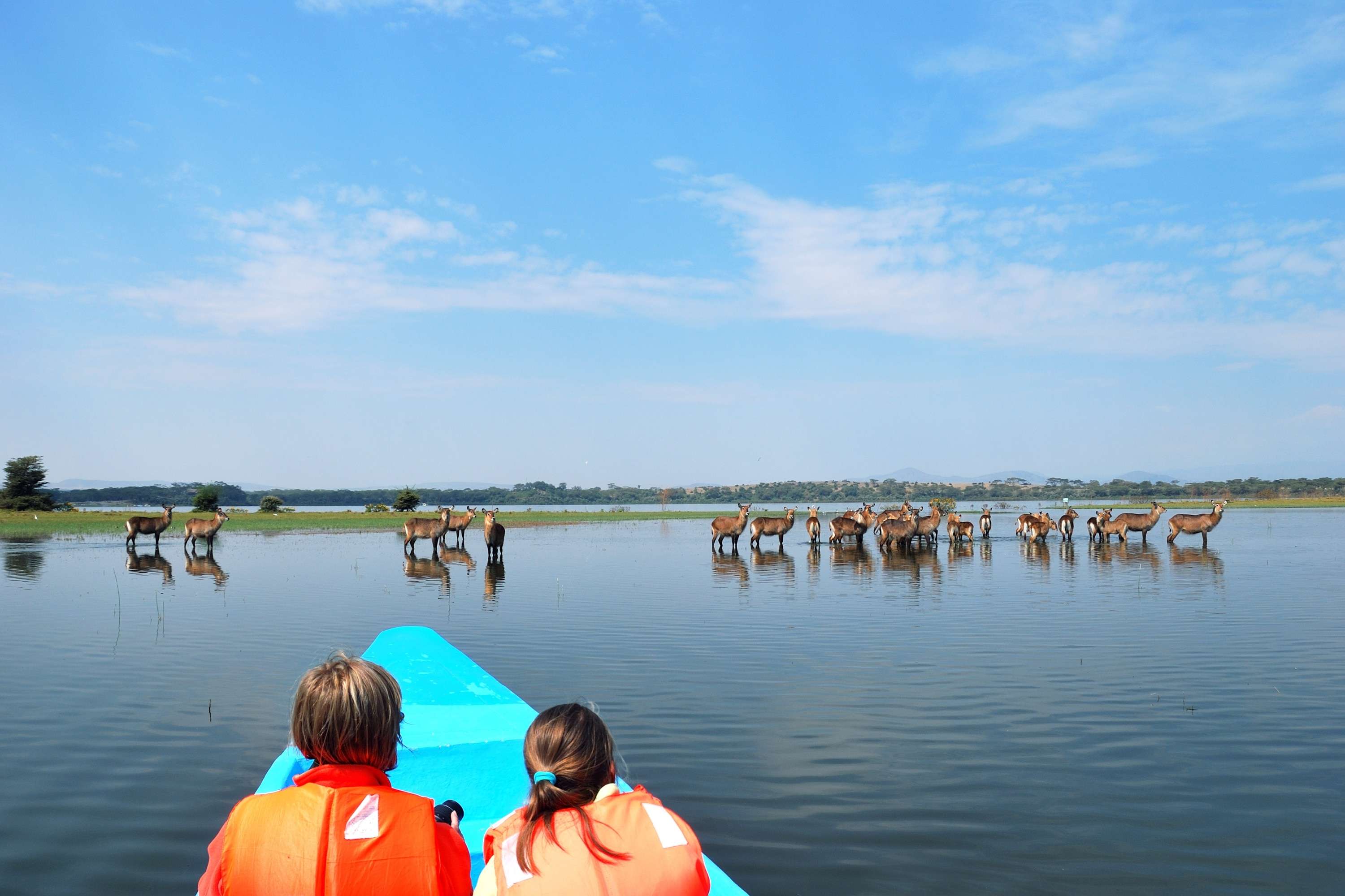 Boat safari at Lake Naivasha