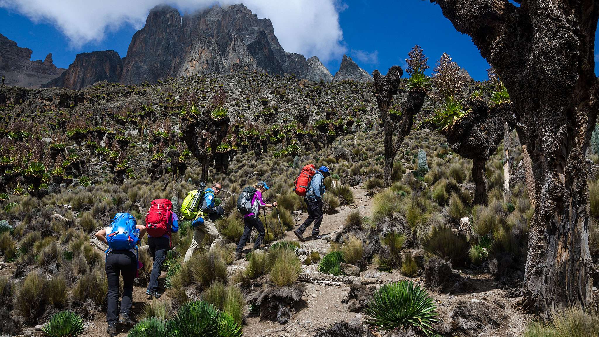 Hike to Mount Kenya