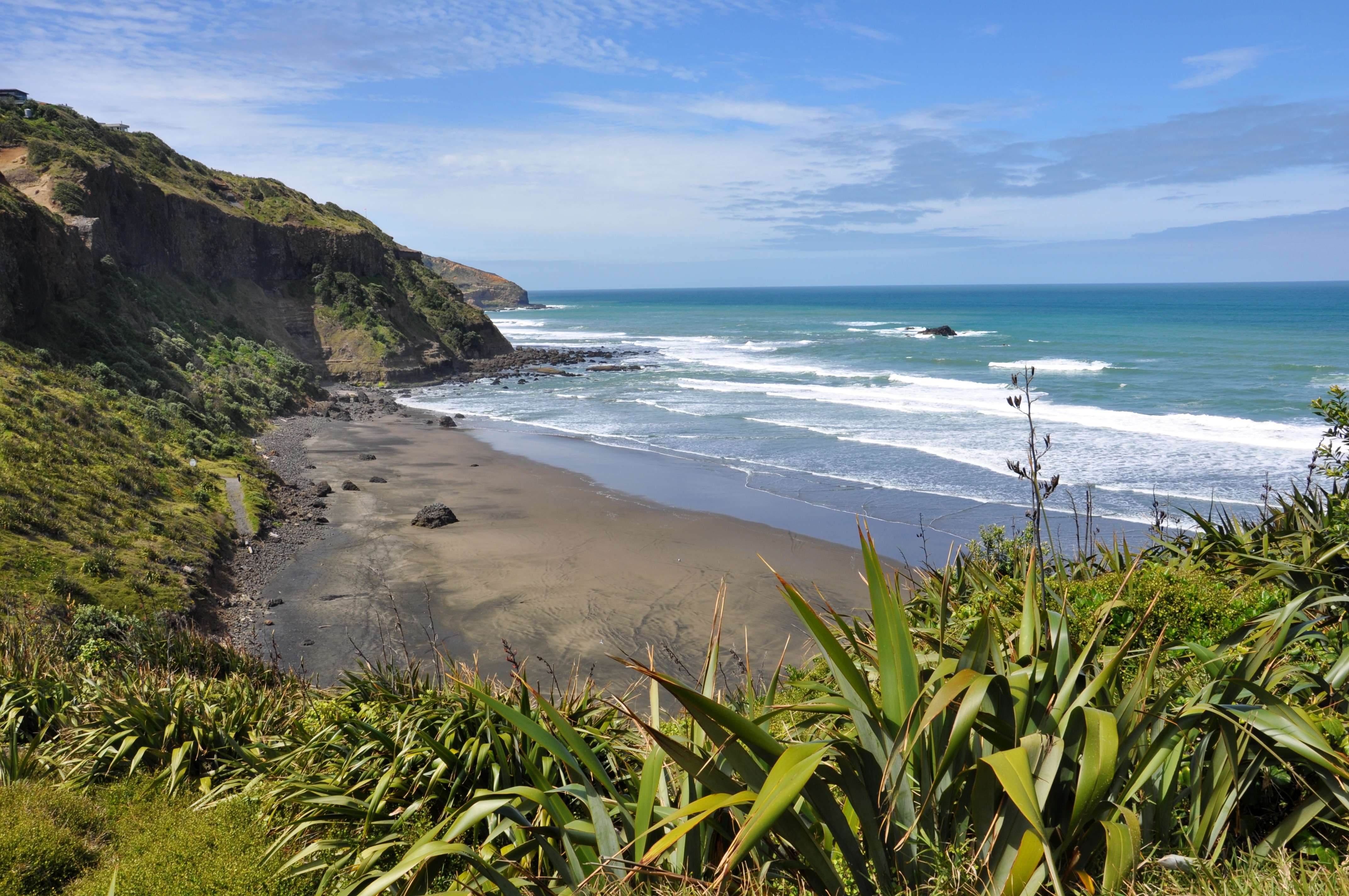 Muriwai Beach
