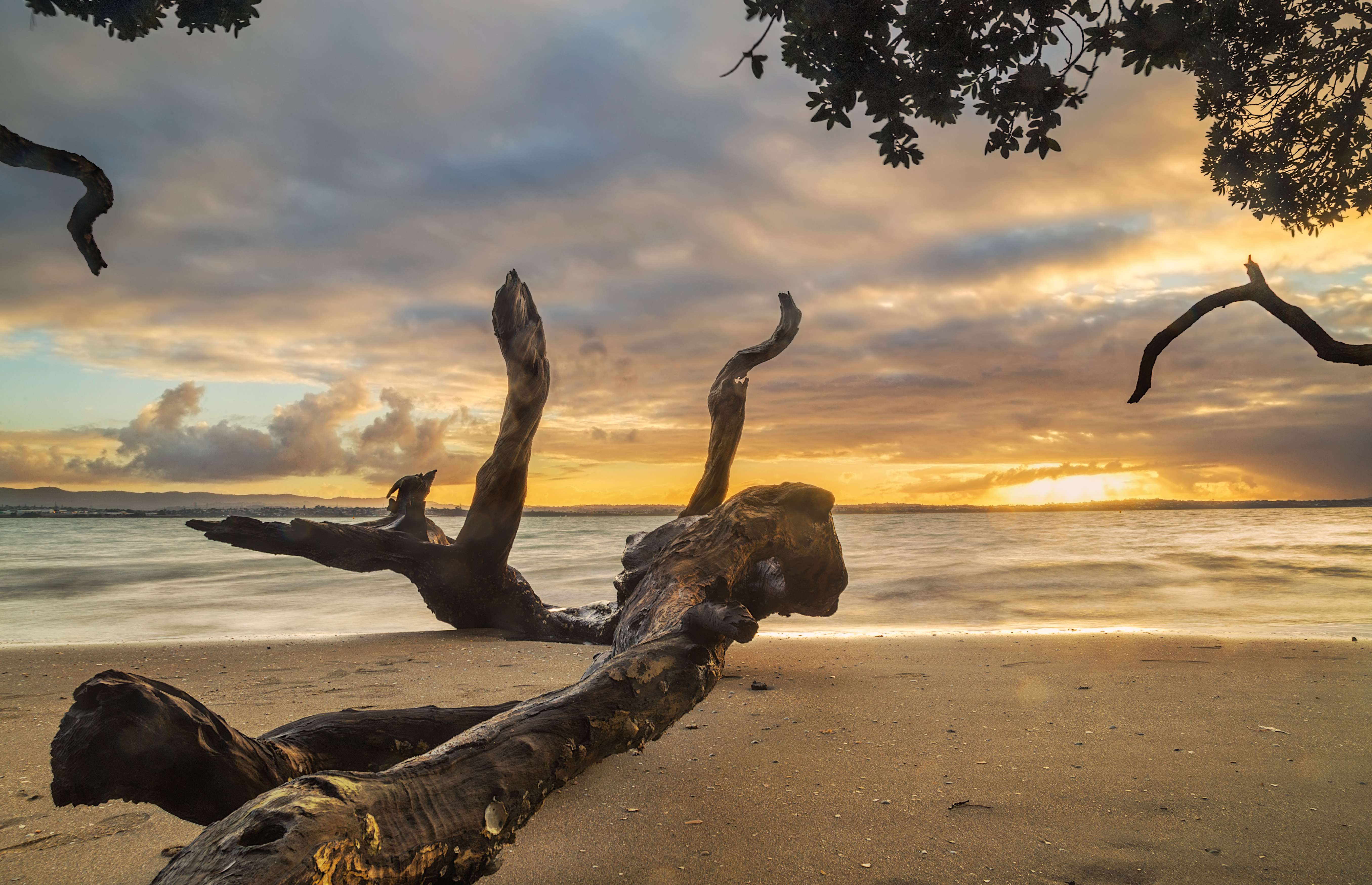 Point Chevalier Beach