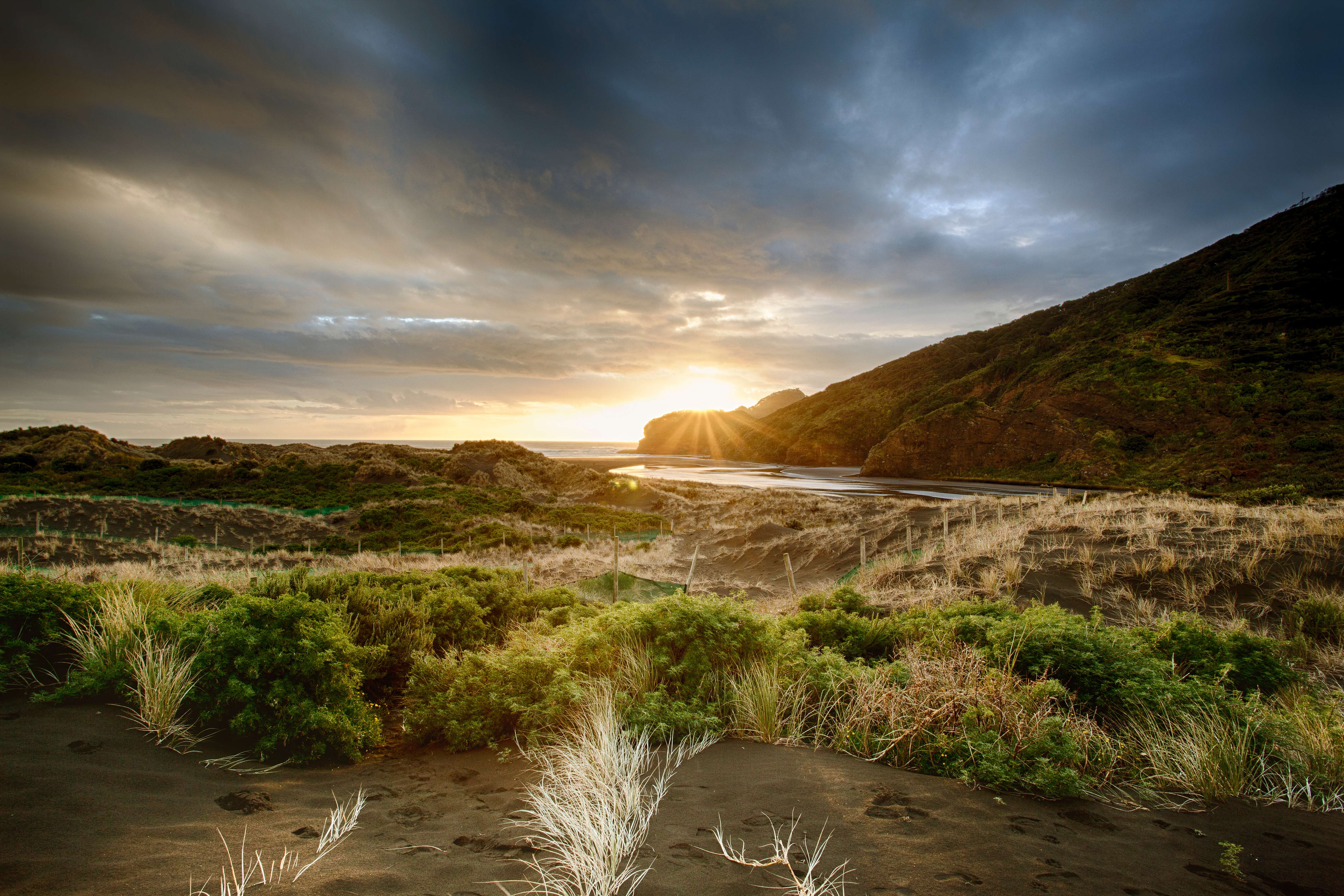 Bethells Beach