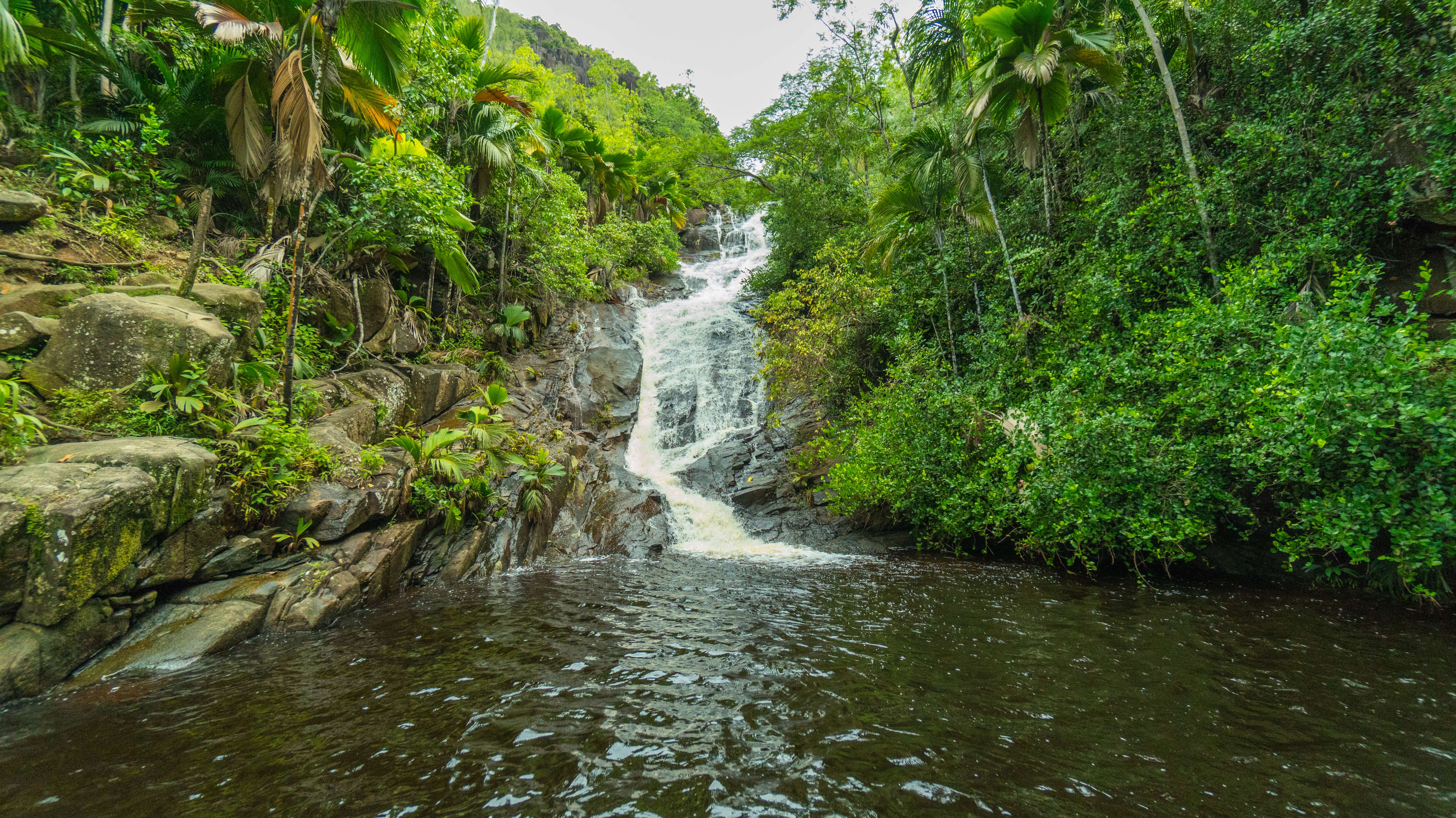 Find A Secret Waterfall - Praslin