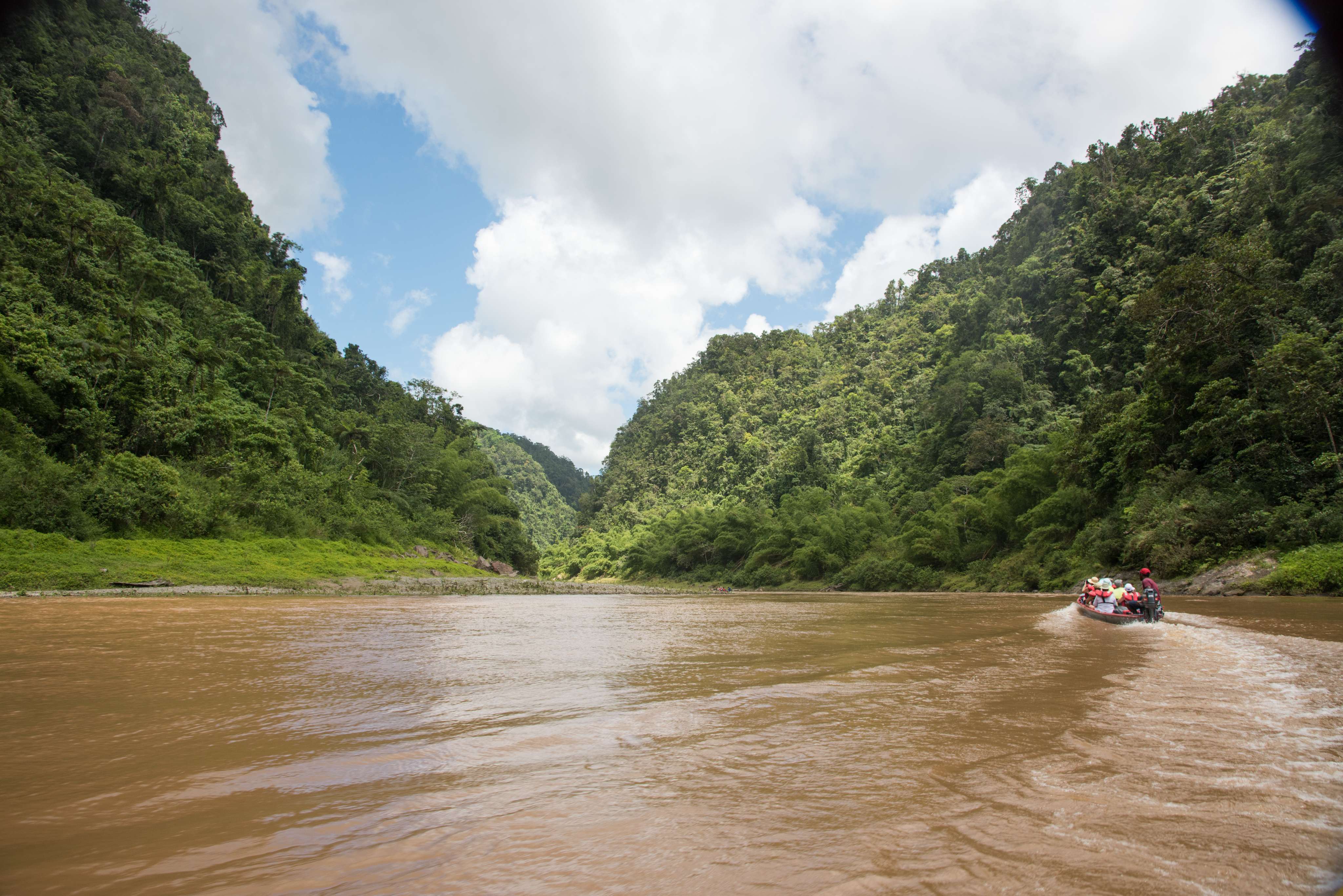 Navua River
