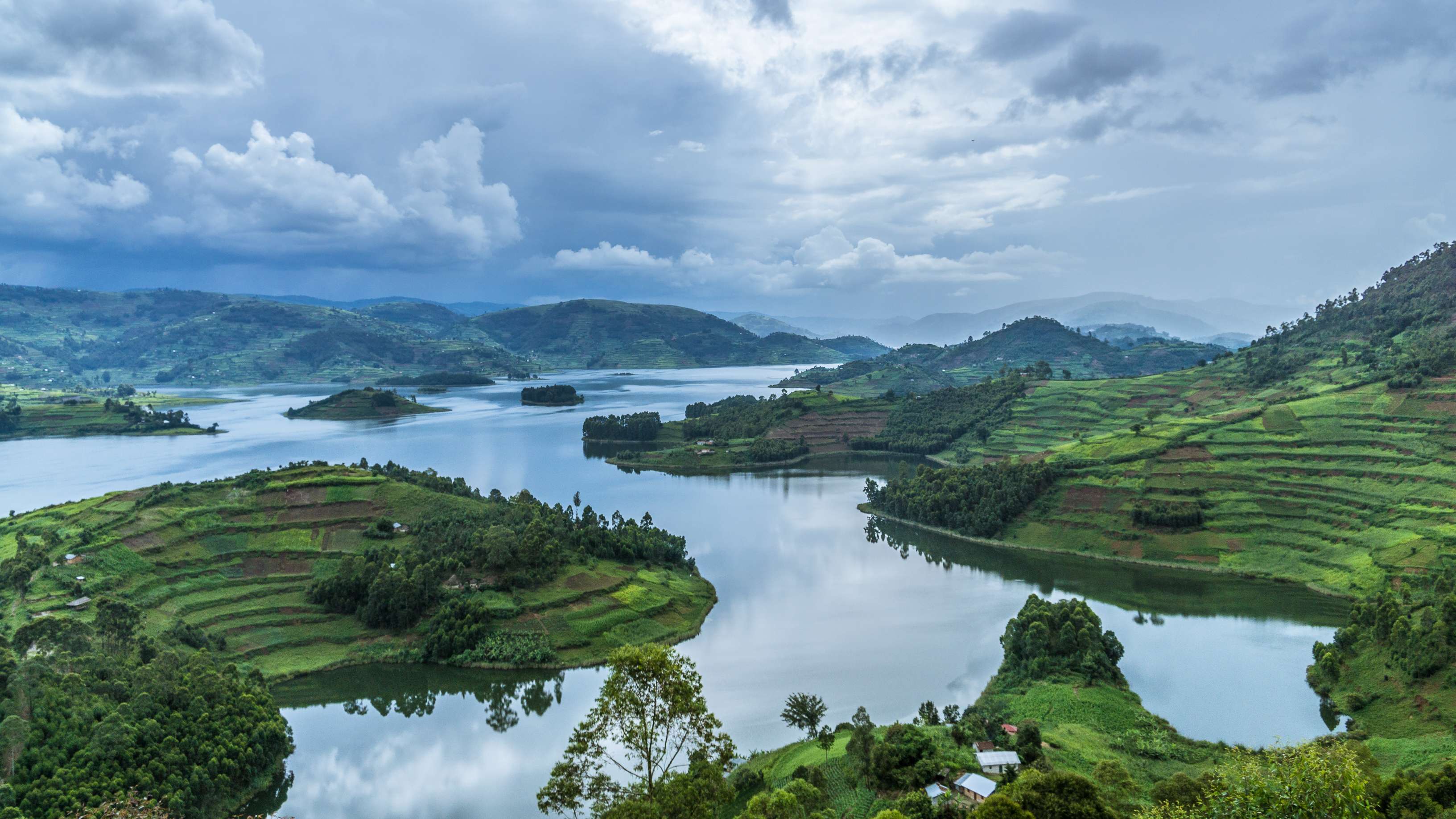 Kibale Np, Queen Elizabeth Np, Bwindi Np, And Lake Bunyonyi