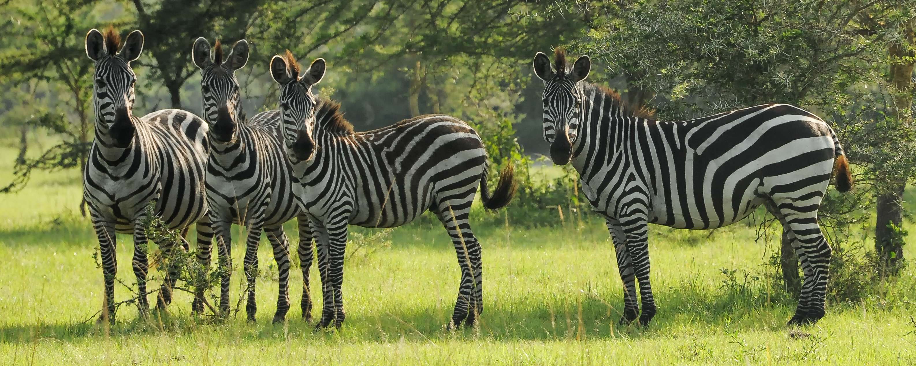 Lake Mburo National Park