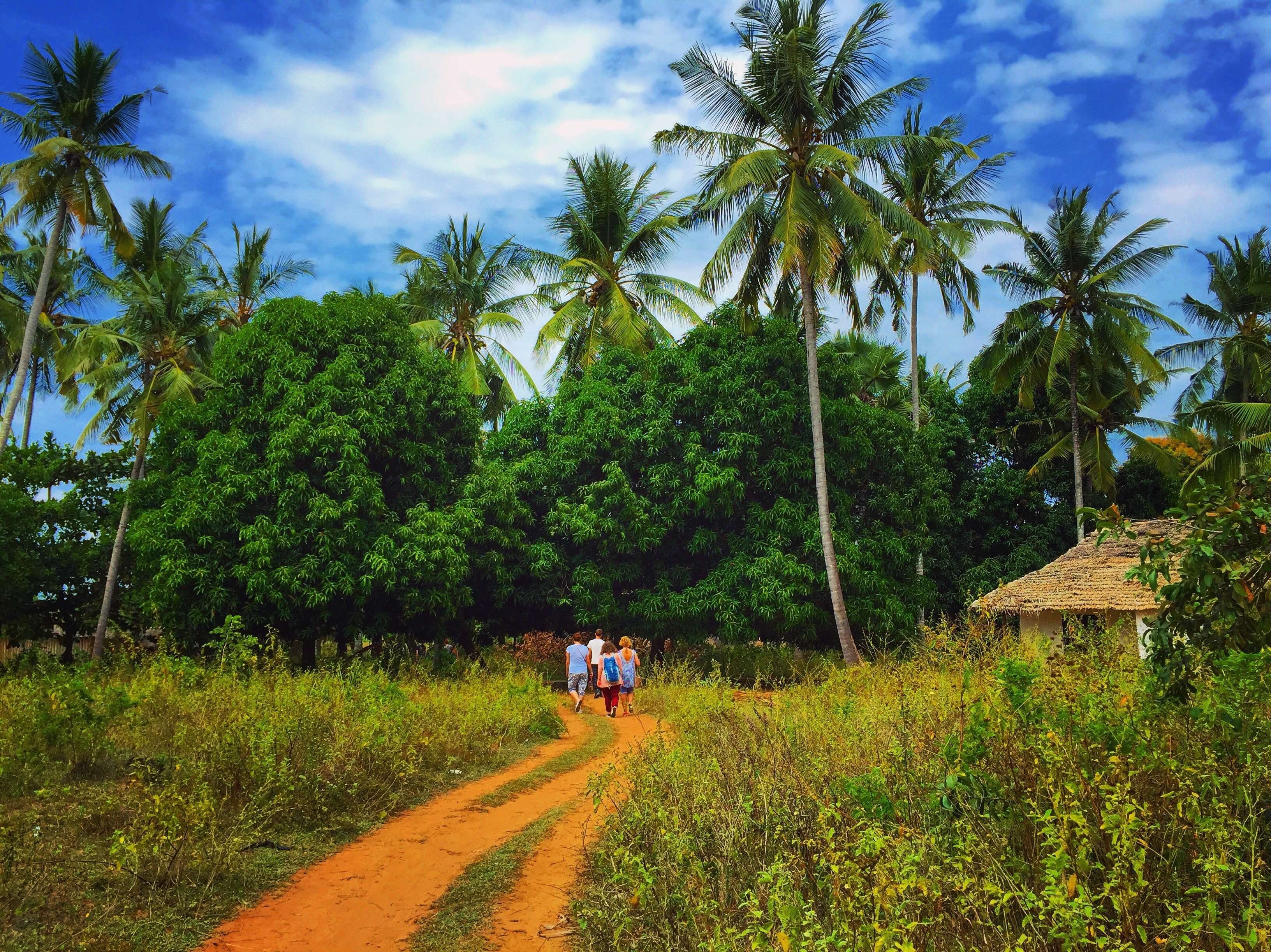 1615632204 shutterstock 702859981