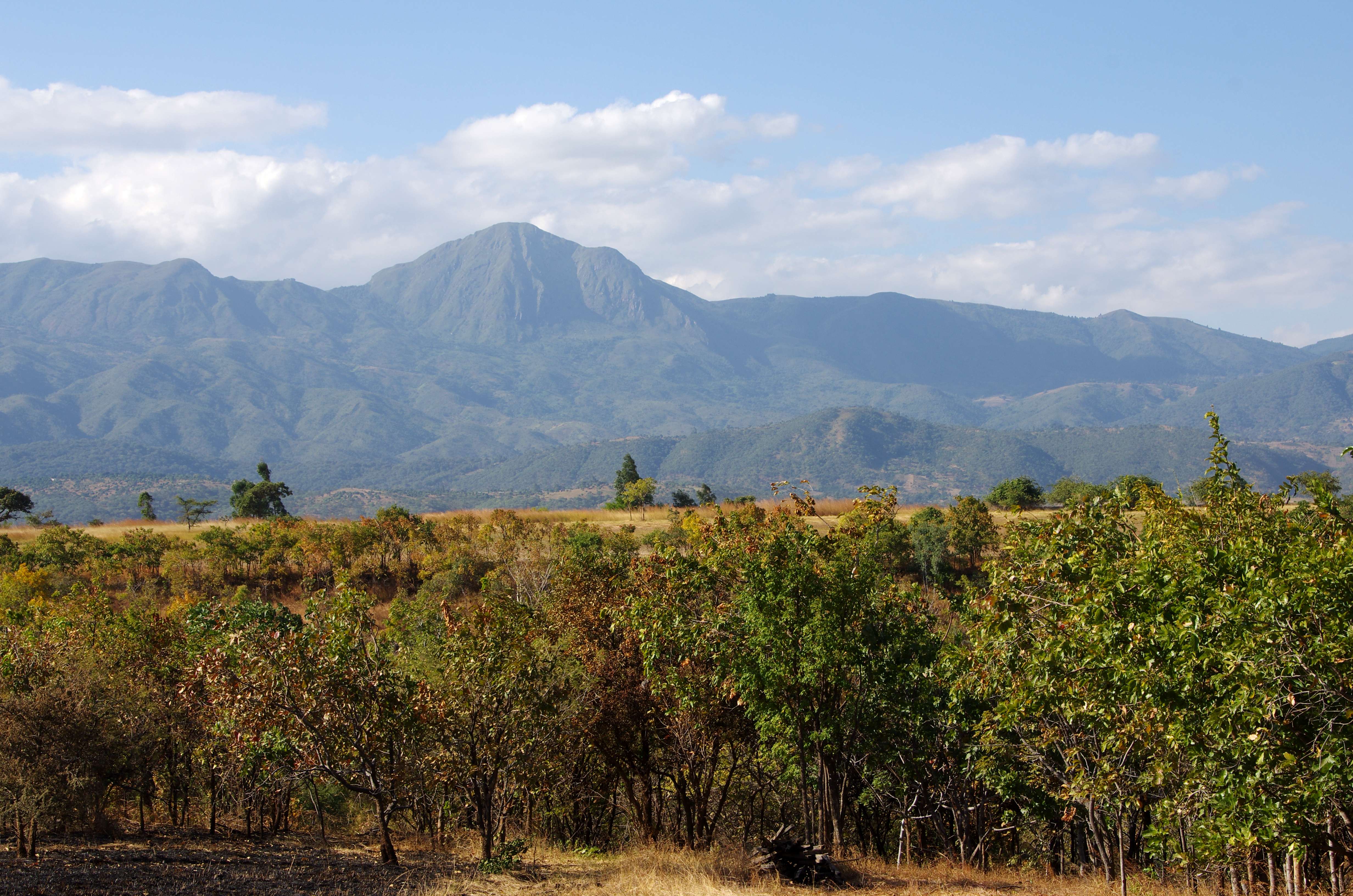 1615633097 shutterstock 1854016738