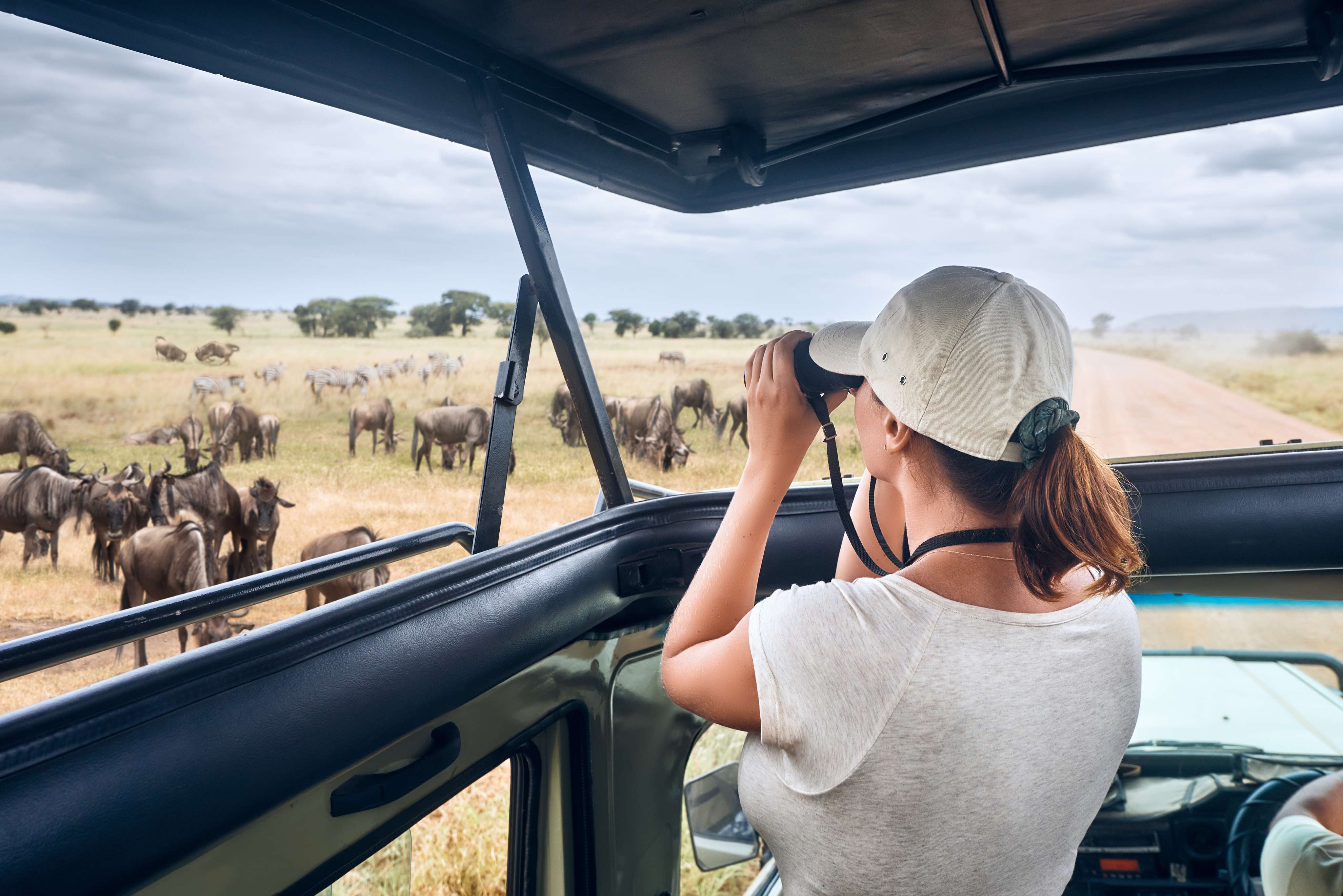 Tips for Uganda Safari Tours