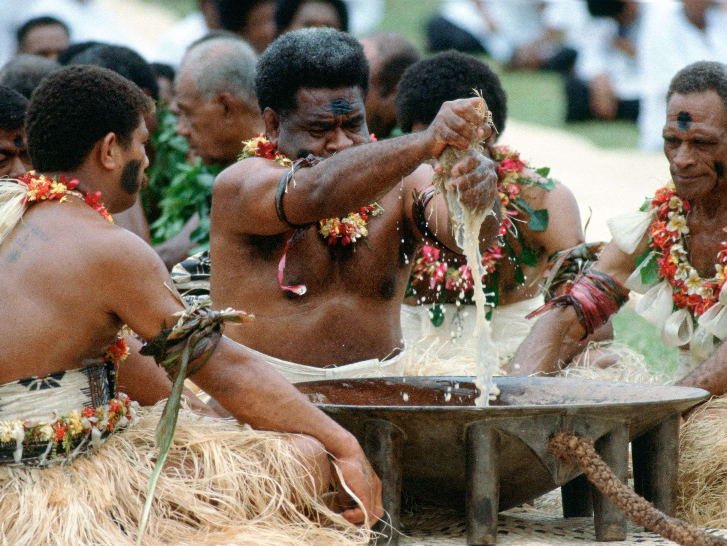 Drink Kava in Sevusevu Ceremony