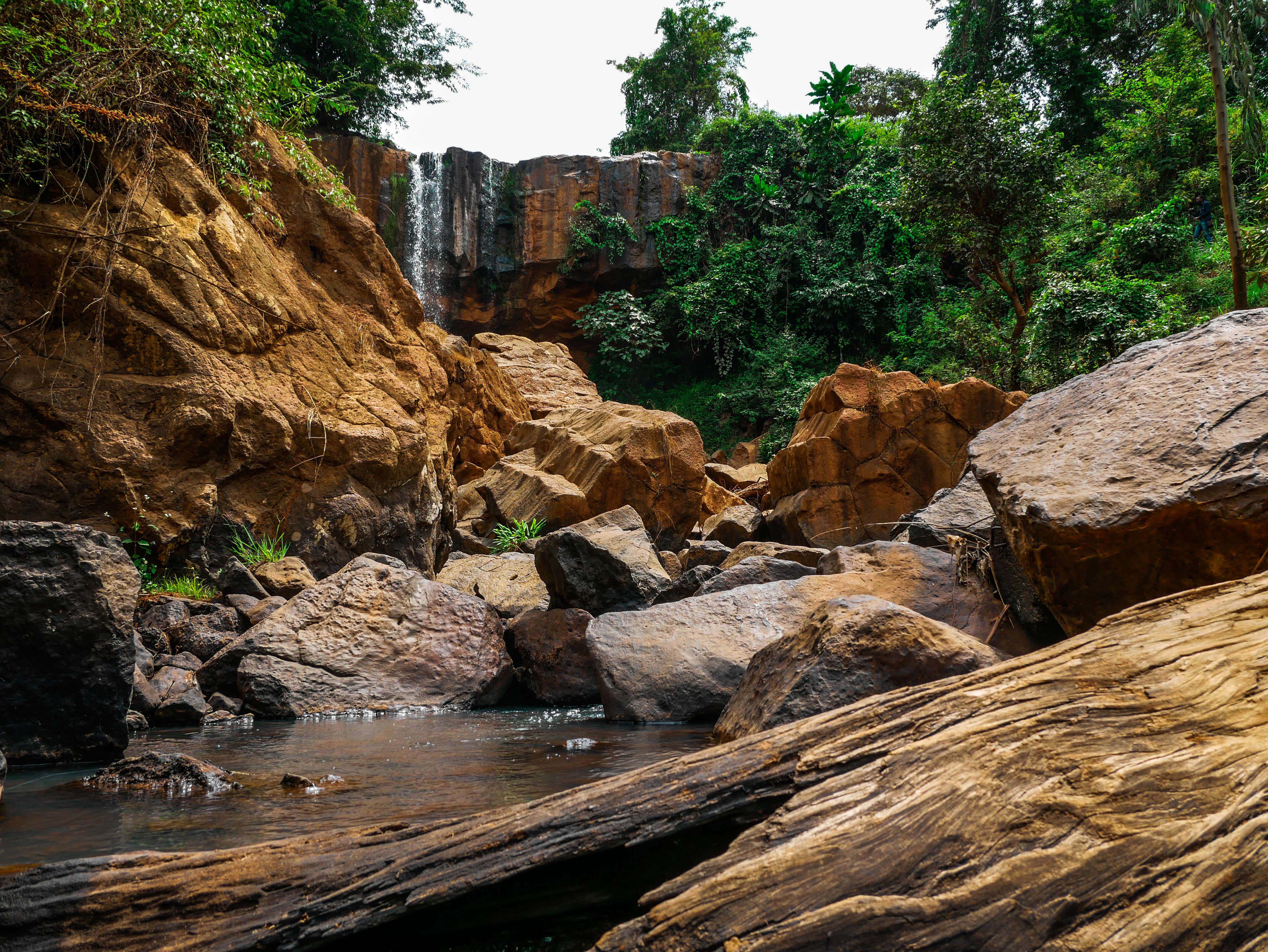 1615796106 shutterstock 1675156126