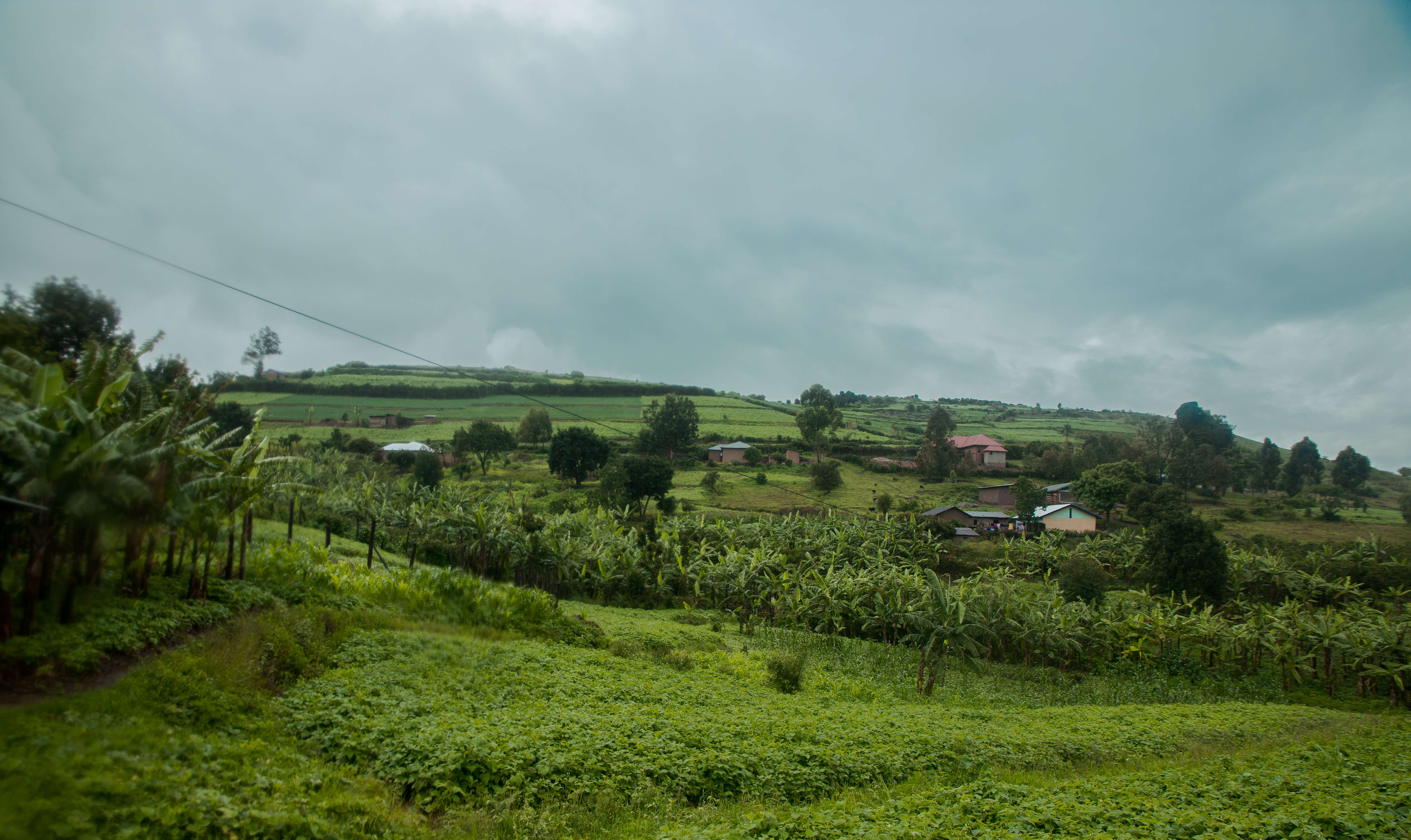 1615796183 shutterstock 1673408224