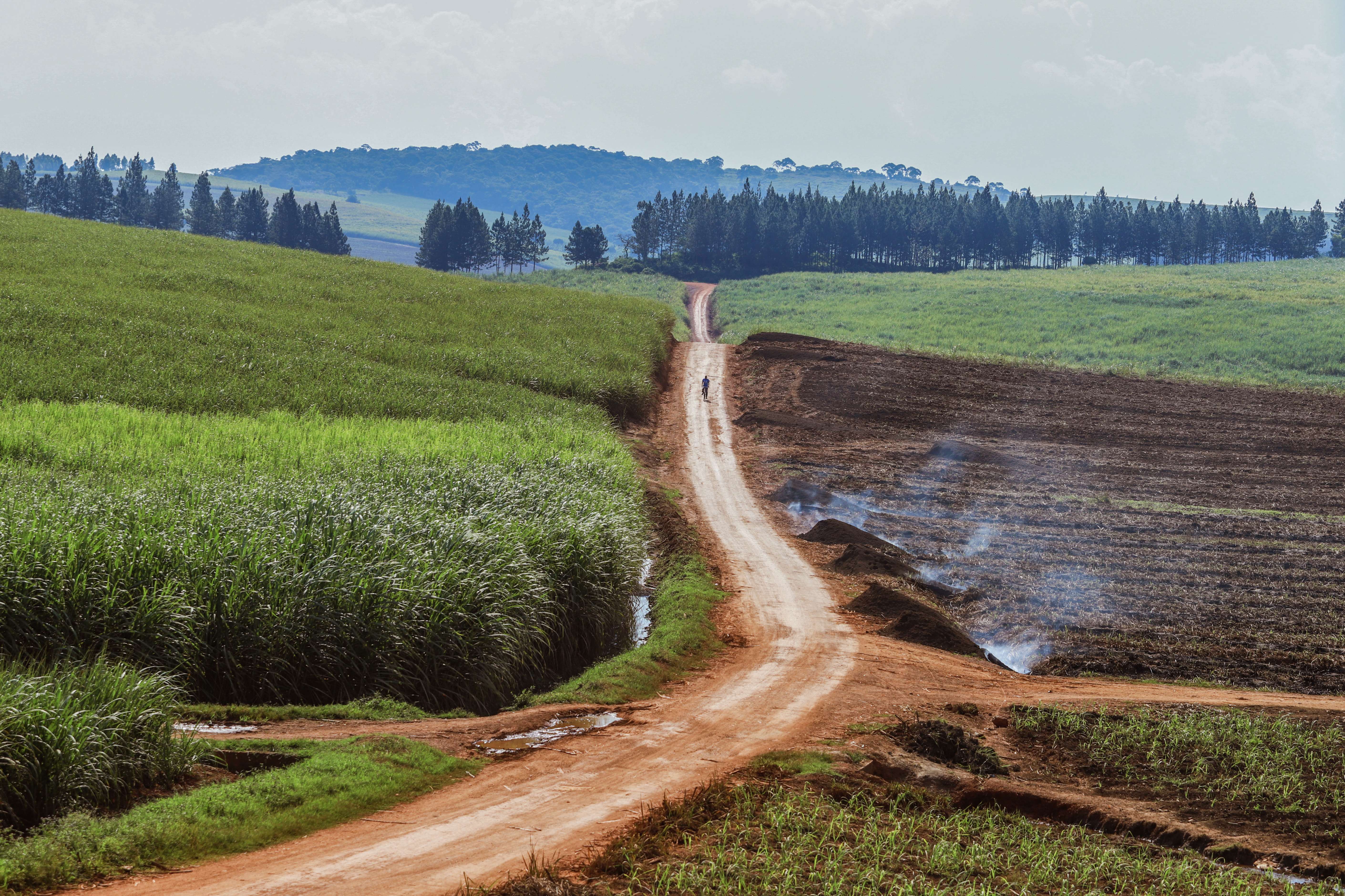 1615801818 shutterstock 1502311472